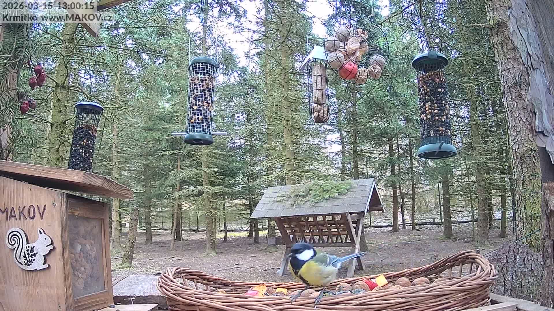 Pisek, Makov Animal Rescue Station Live Cam - Cizova, Pisek, Juhočeský Kraj (South Bohemian), Czechia