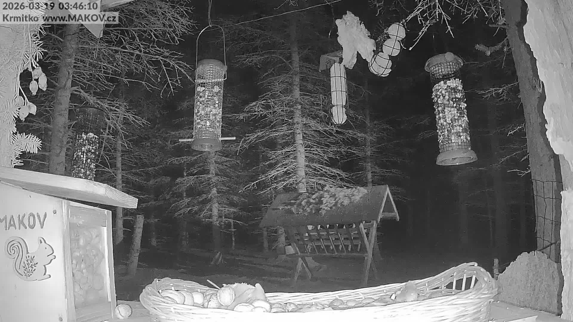 Pisek, Makov Animal Rescue Station Live Cam - Cizova, Pisek, Juhočeský Kraj (South Bohemian), Czechia
