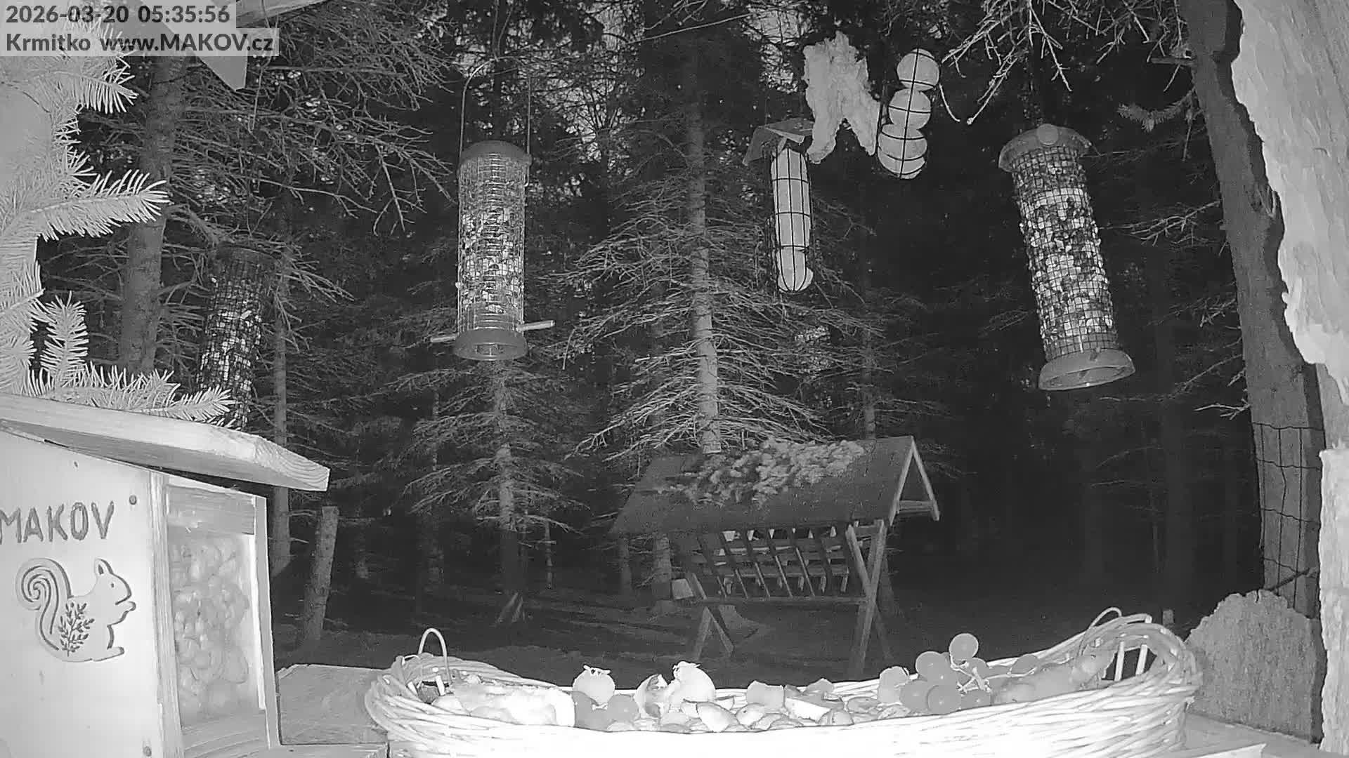 Pisek, Makov Animal Rescue Station Live Cam - Cizova, Pisek, Juhočeský Kraj (South Bohemian), Czechia