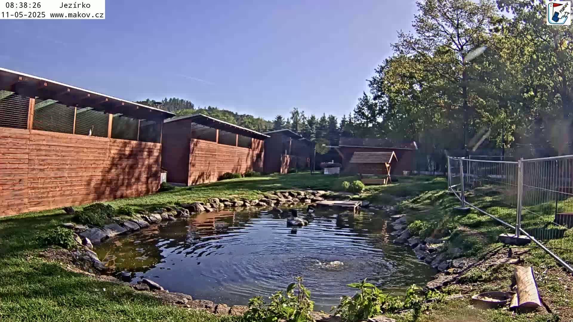 Under a clear blue sky, several wooden structures sit beside a small pond where two dark birds swim, all surrounded by green grass and trees.