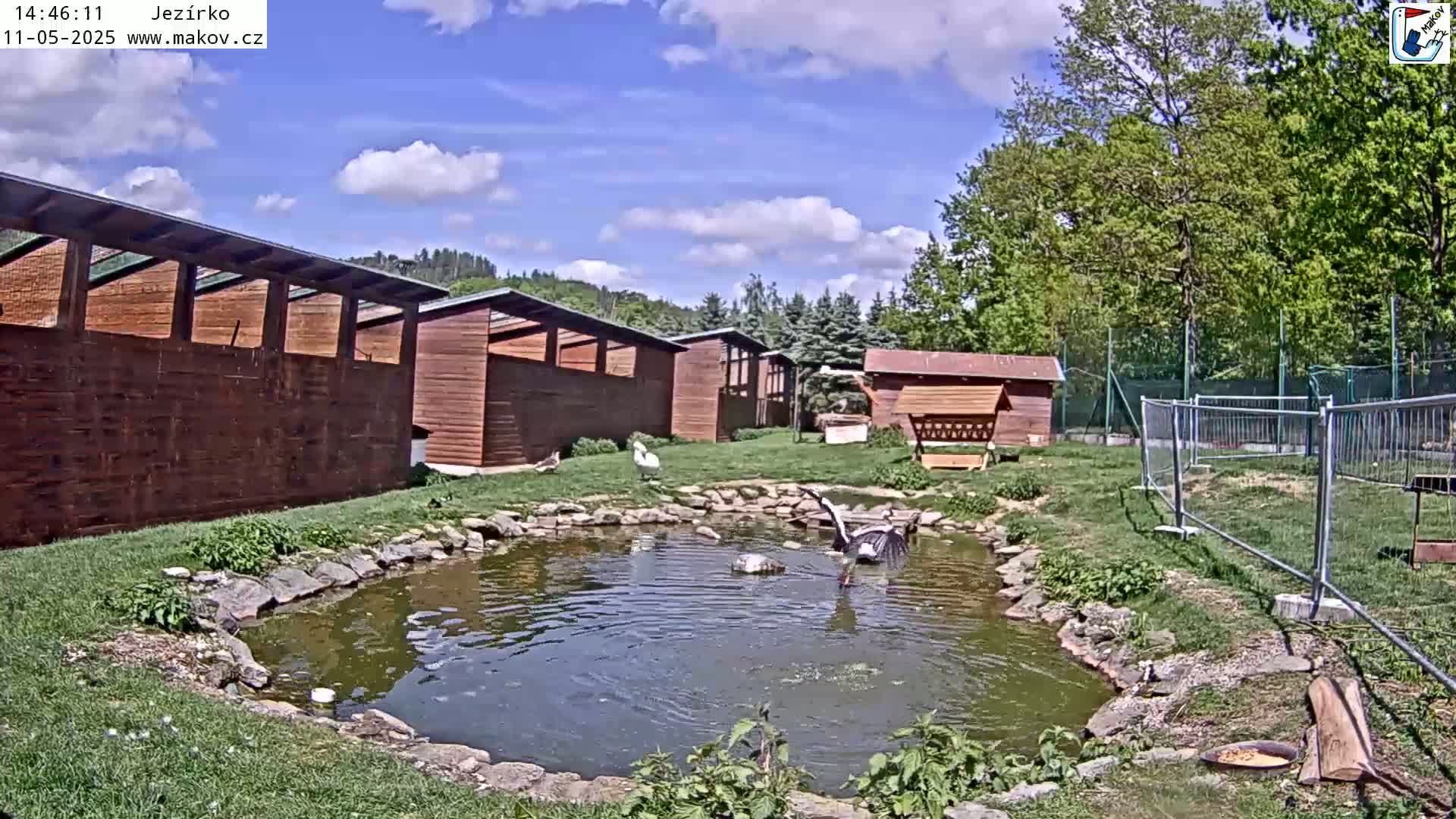 A small pond with several birds, including a swan and a crane, is surrounded by wooden buildings and grassy areas under a partly cloudy sky.