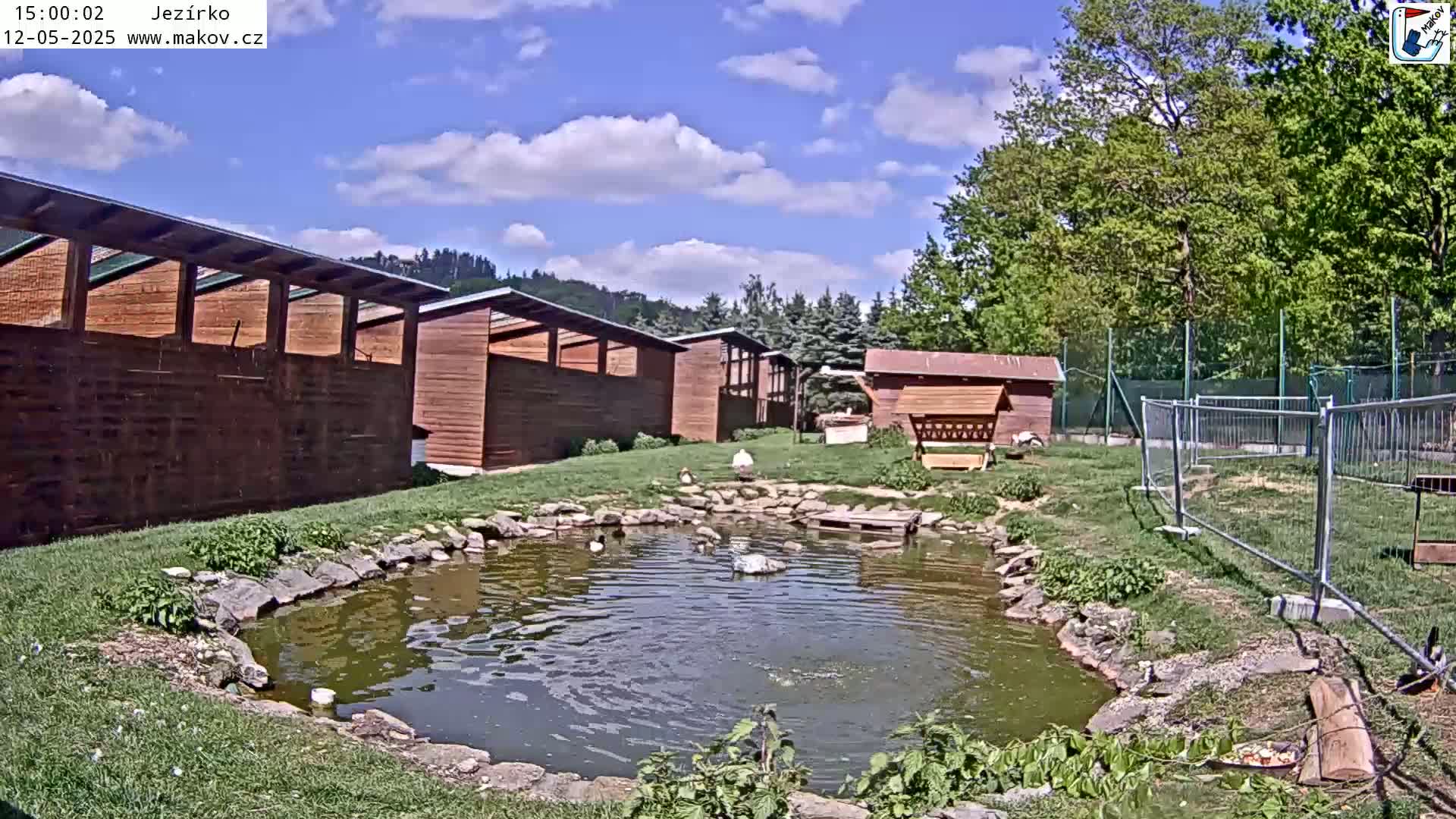 A small pond with ducks and a swan is surrounded by wooden buildings, green lawns, and trees under a partly cloudy sky.