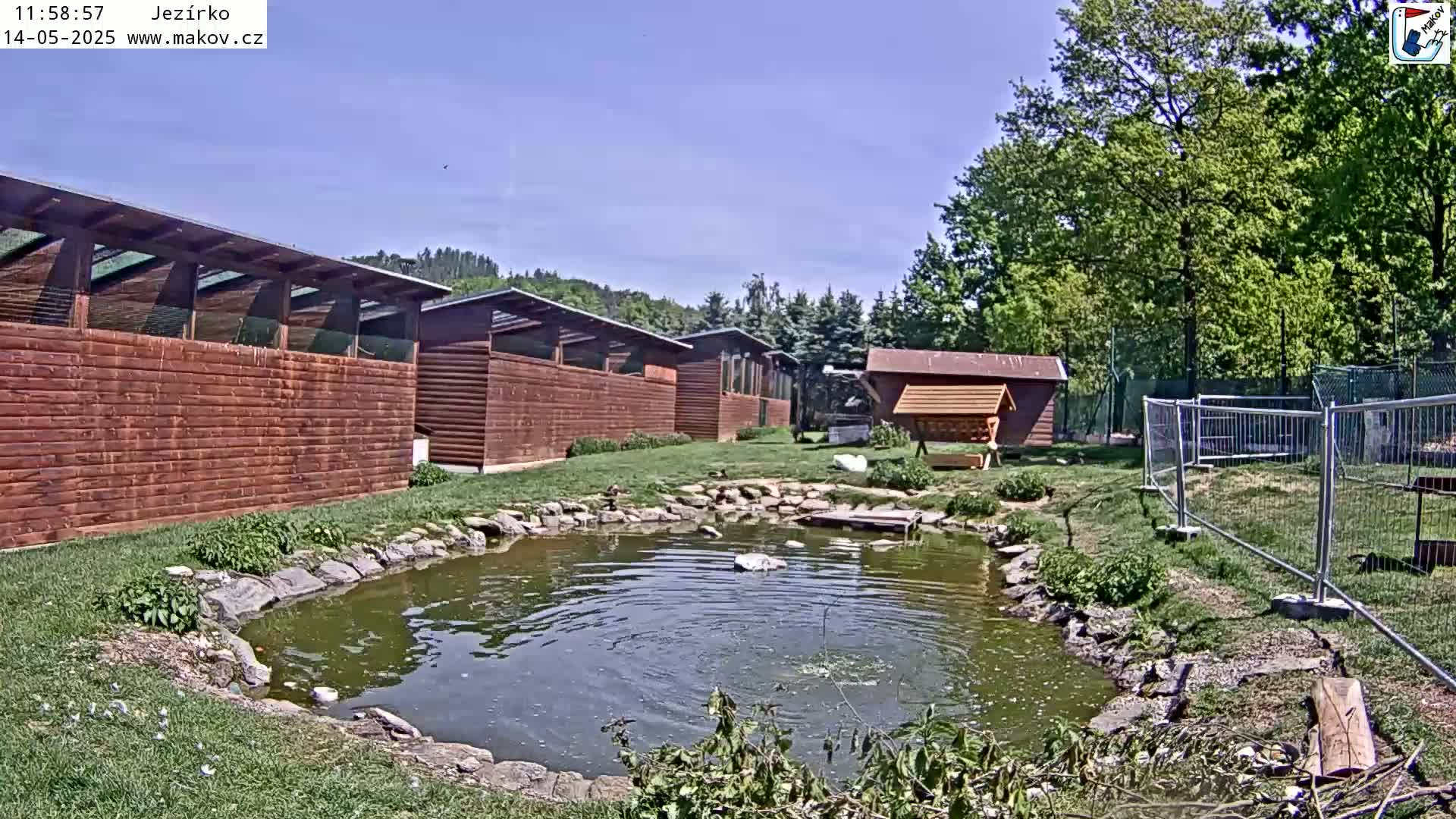 A small pond sits in front of several brown wooden buildings surrounded by green grass and trees under a clear blue sky.