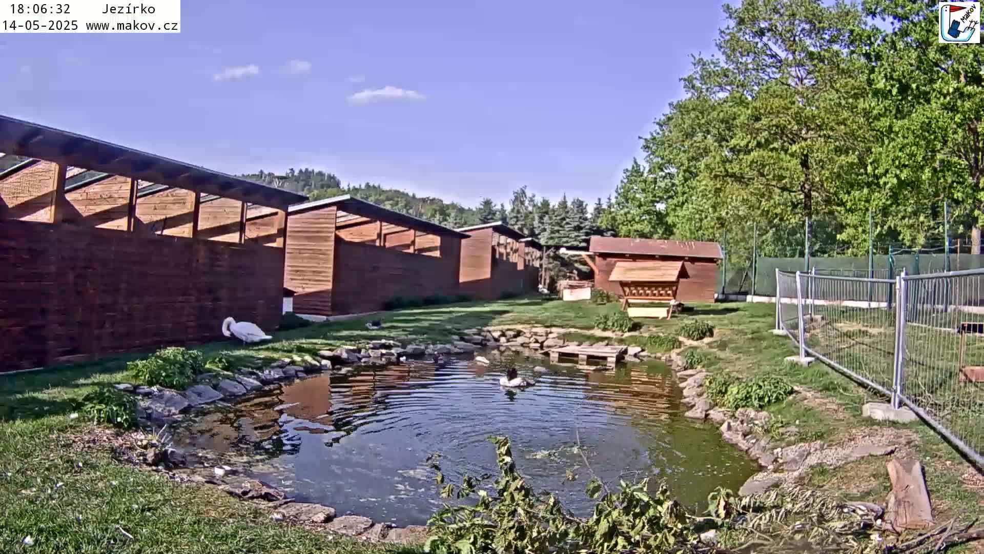 A swan and another bird are near a small pond next to a row of wooden structures under a mostly sunny sky.