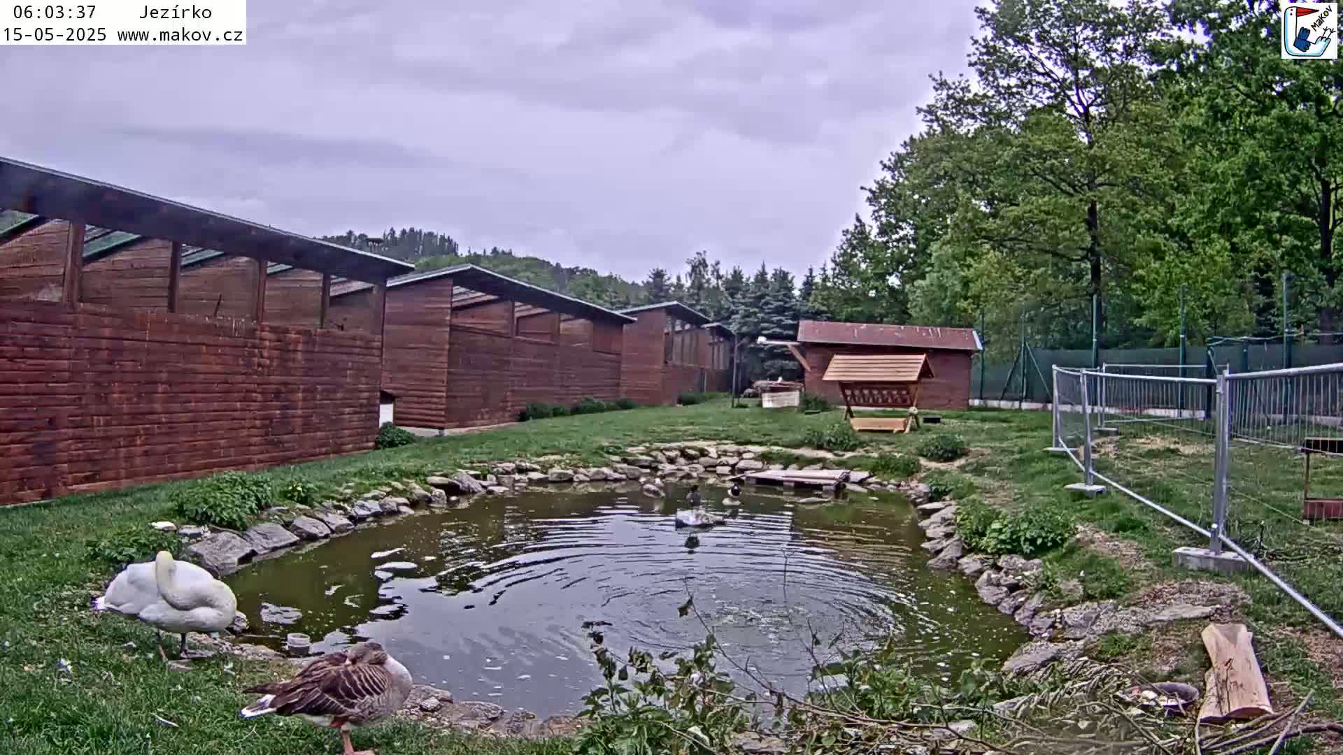 Pisek, Makov Animal Rescue Station Lake Live Cam - Cizova, Pisek, Juhočeský Kraj (South Bohemian), Czechia