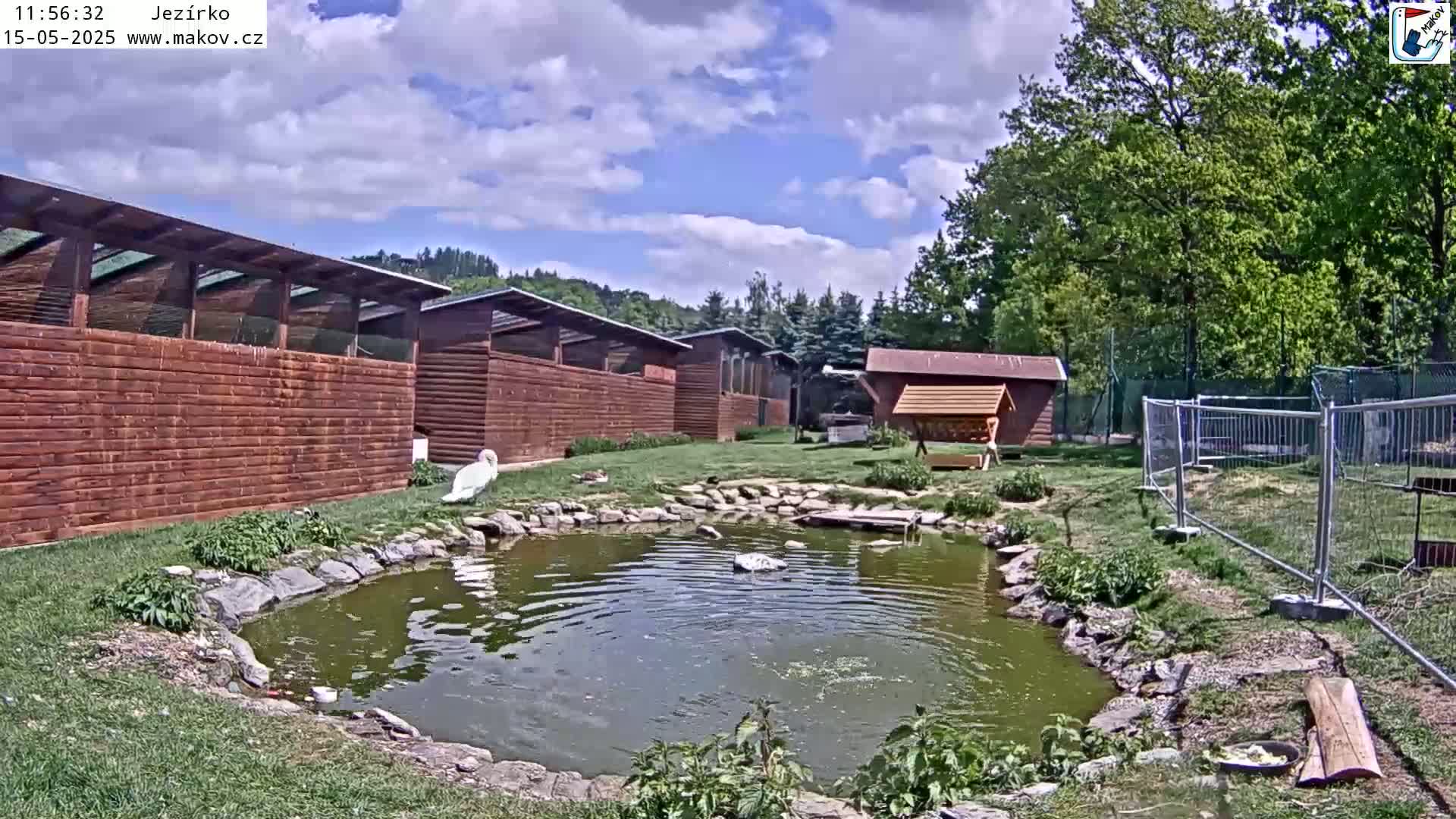 A swan stands near a small pond surrounded by wooden buildings and green lawns under a partly cloudy sky.