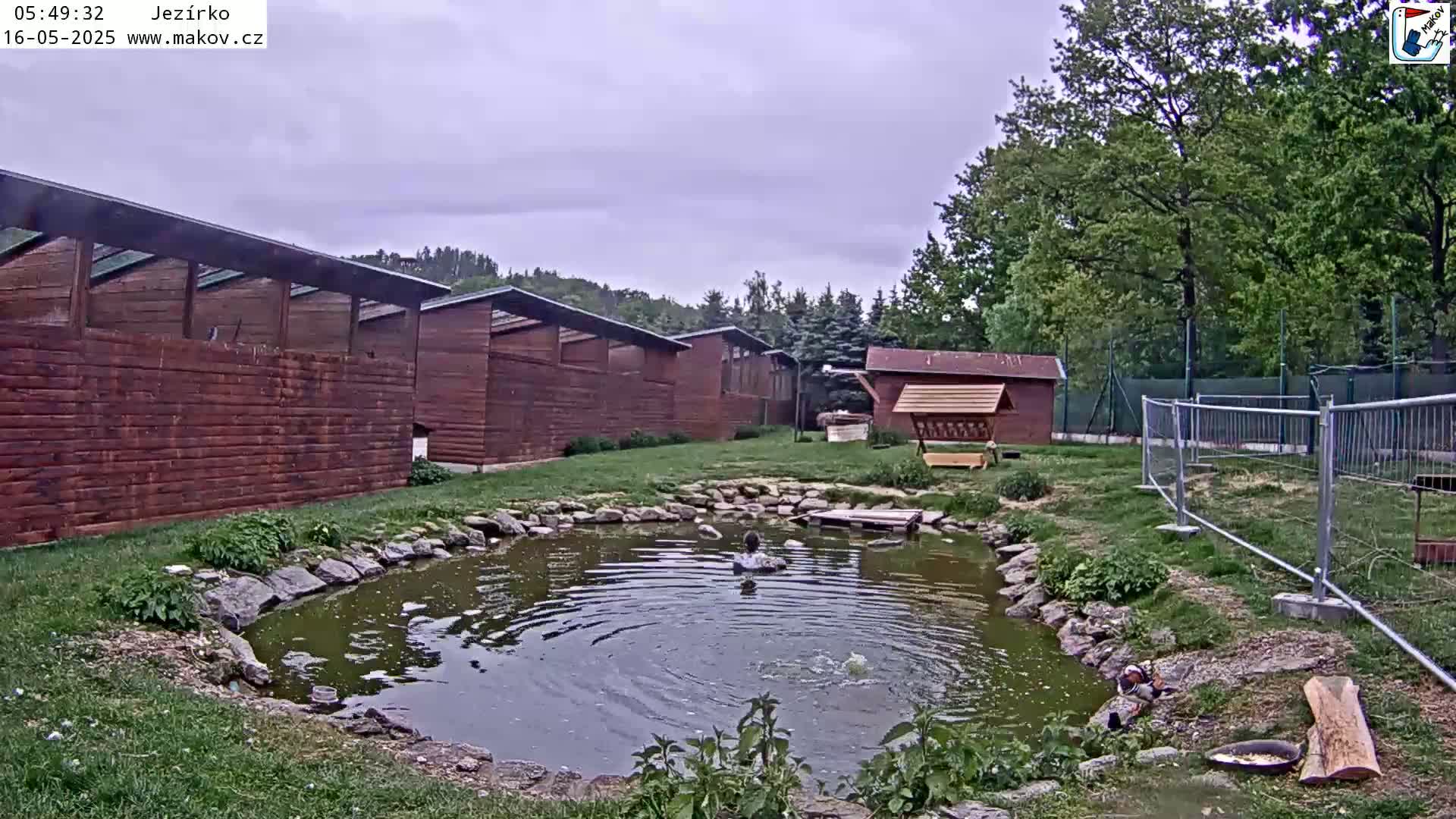 Pisek, Makov Animal Rescue Station Lake Live Cam - Cizova, Pisek, Juhočeský Kraj (South Bohemian), Czechia
