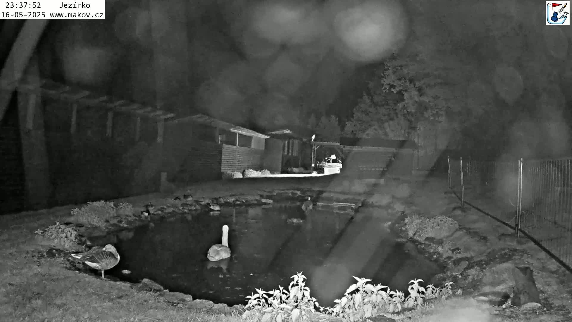 Pisek, Makov Animal Rescue Station Lake Live Cam - Cizova, Pisek, Juhočeský Kraj (South Bohemian), Czechia