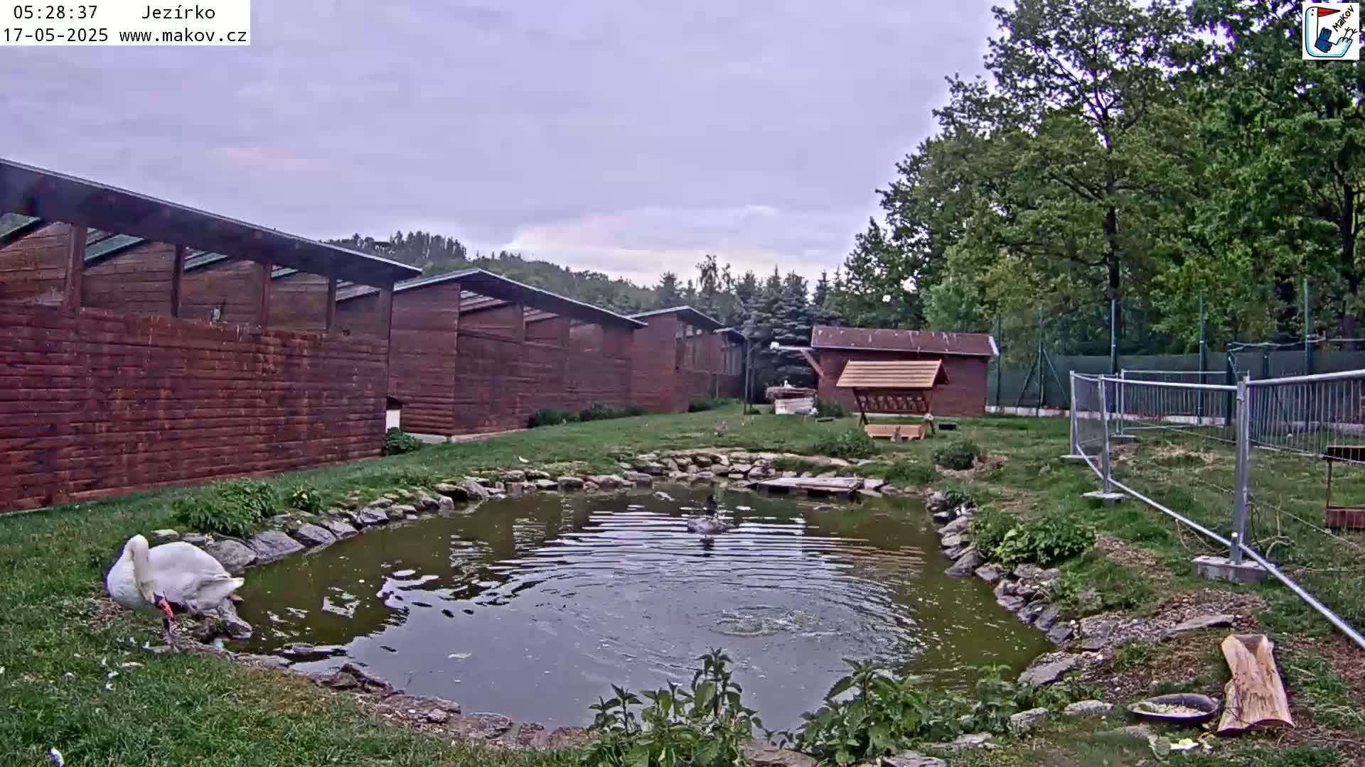 Pisek, Makov Animal Rescue Station Lake Live Cam - Cizova, Pisek, Juhočeský Kraj (South Bohemian), Czechia