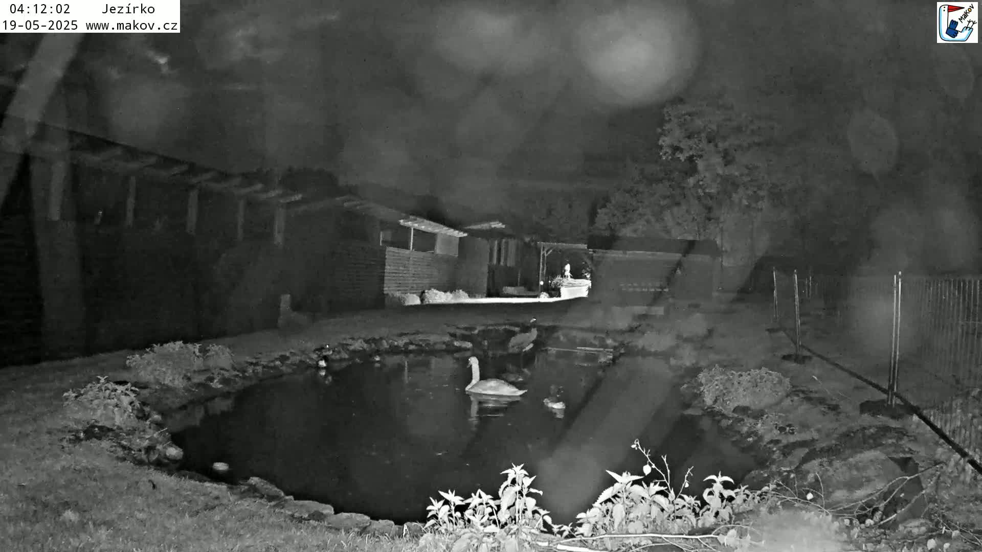 Pisek, Makov Animal Rescue Station Lake Live Cam - Cizova, Pisek, Juhočeský Kraj (South Bohemian), Czechia