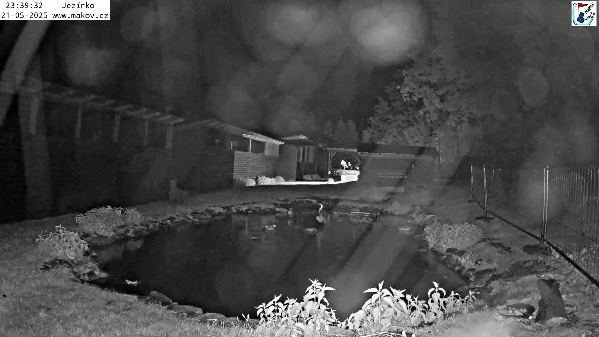 A nighttime, low-light image shows a small pond with some birds in it, situated near several dark buildings and vegetation, under a dark, possibly overcast sky.