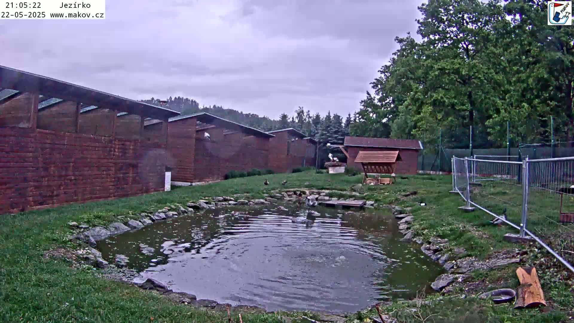 A small pond with several birds near a row of wooden structures and trees under an overcast sky.