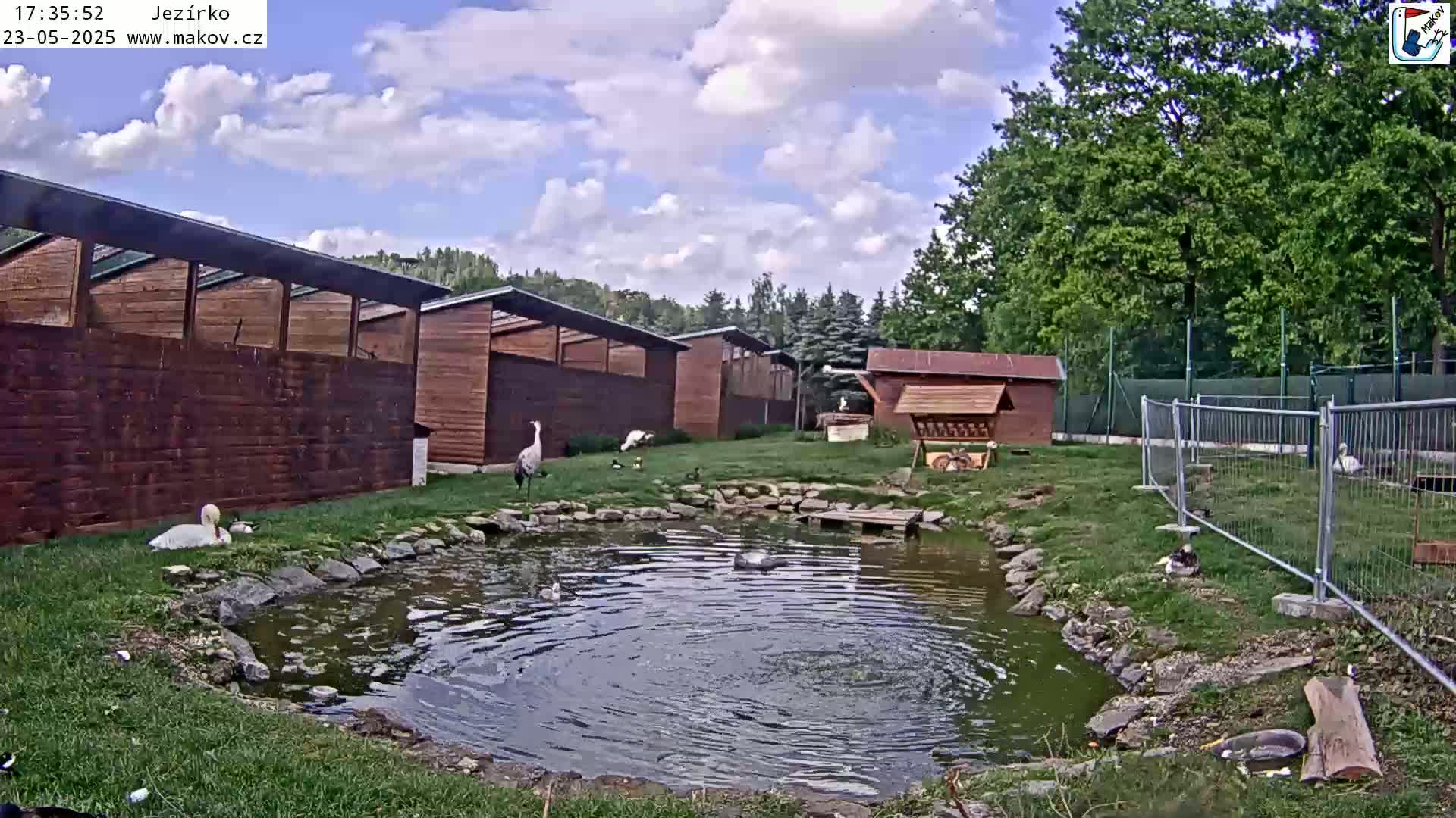A small pond surrounded by several wooden buildings and a metal fence, with various waterfowl including swans, ducks, and a crane, under a partly cloudy sky.
