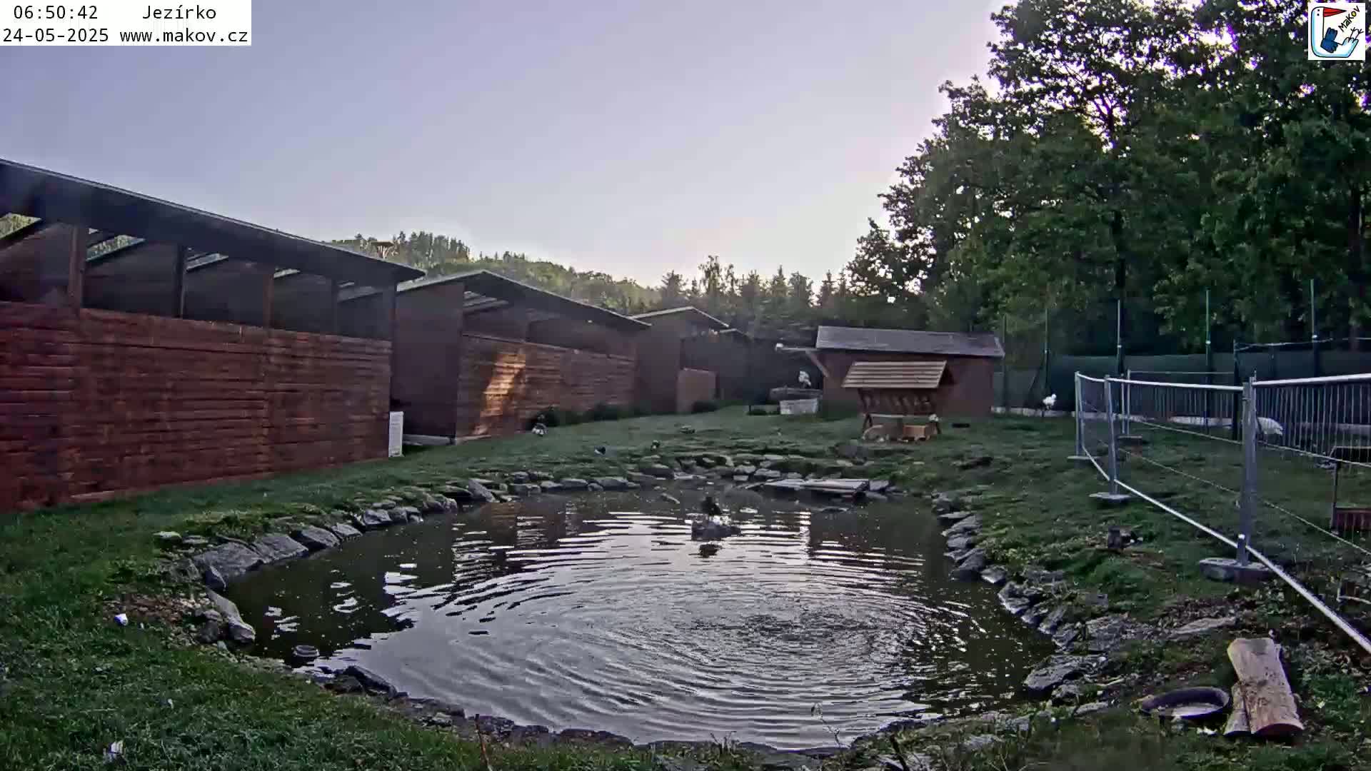 Pisek, Makov Animal Rescue Station Lake Live Cam - Cizova, Pisek, Juhočeský Kraj (South Bohemian), Czechia
