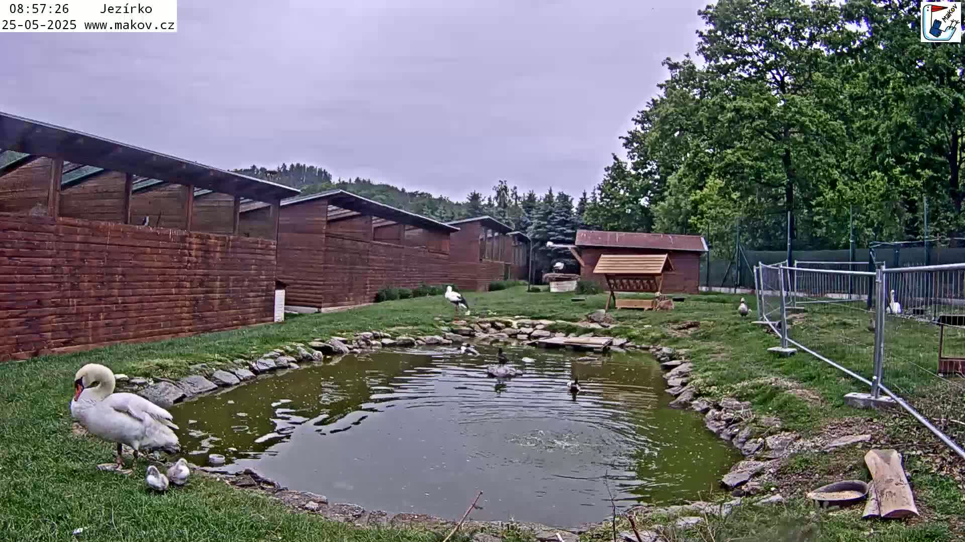 Pisek, Makov Animal Rescue Station Lake Live Cam - Cizova, Pisek, Juhočeský Kraj (South Bohemian), Czechia