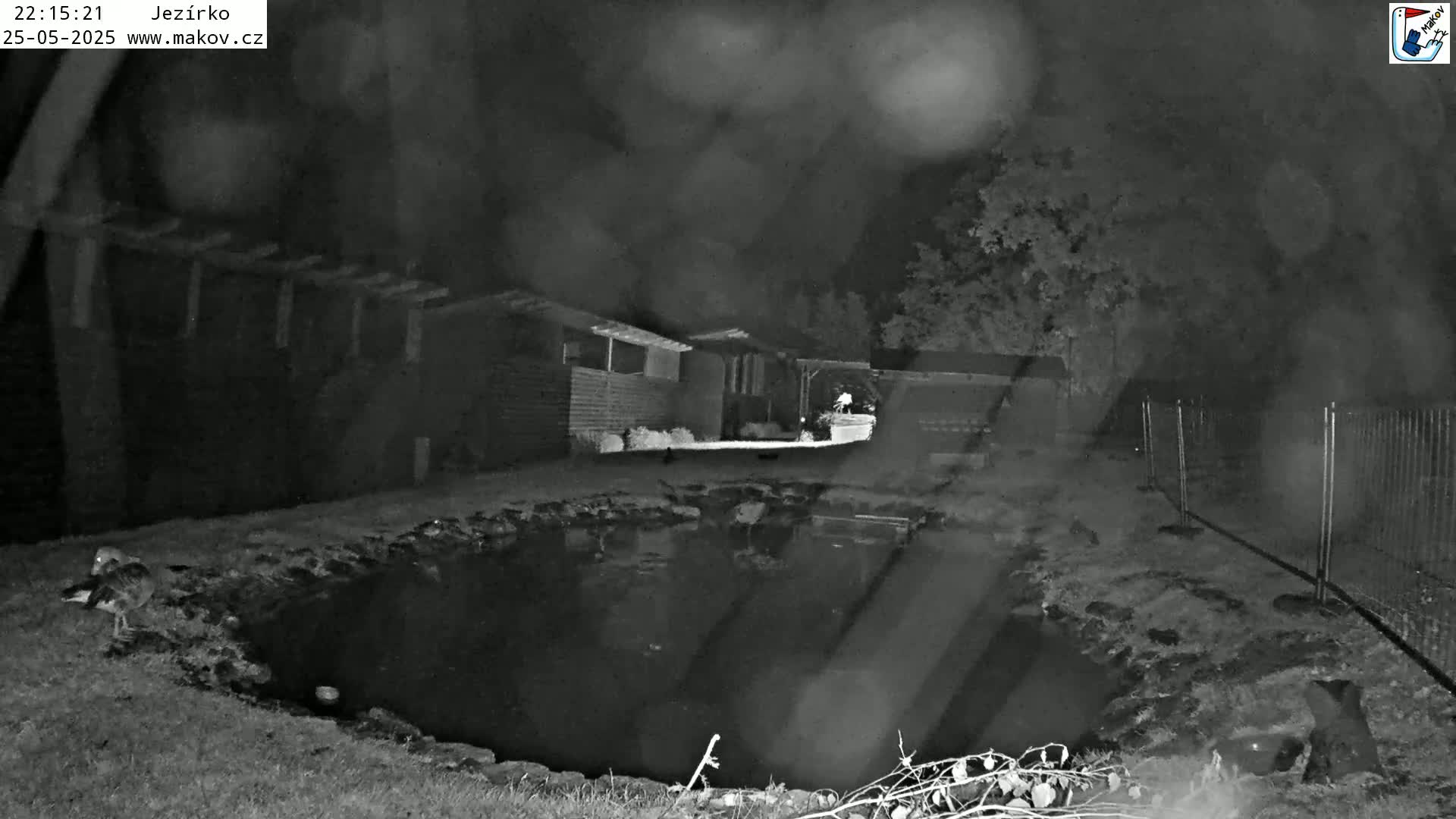 A nighttime, rainy view of a small pond in front of a dark building, with some vegetation and a fence visible in the background.