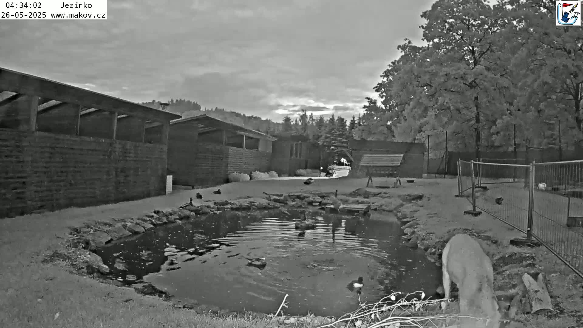 Pisek, Makov Animal Rescue Station Lake Live Cam - Cizova, Pisek, Juhočeský Kraj (South Bohemian), Czechia