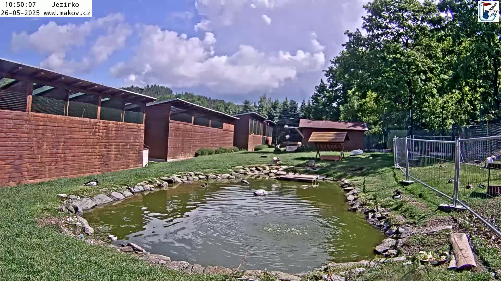 A small pond with ducks sits in front of several brown wooden buildings under a partly cloudy sky.