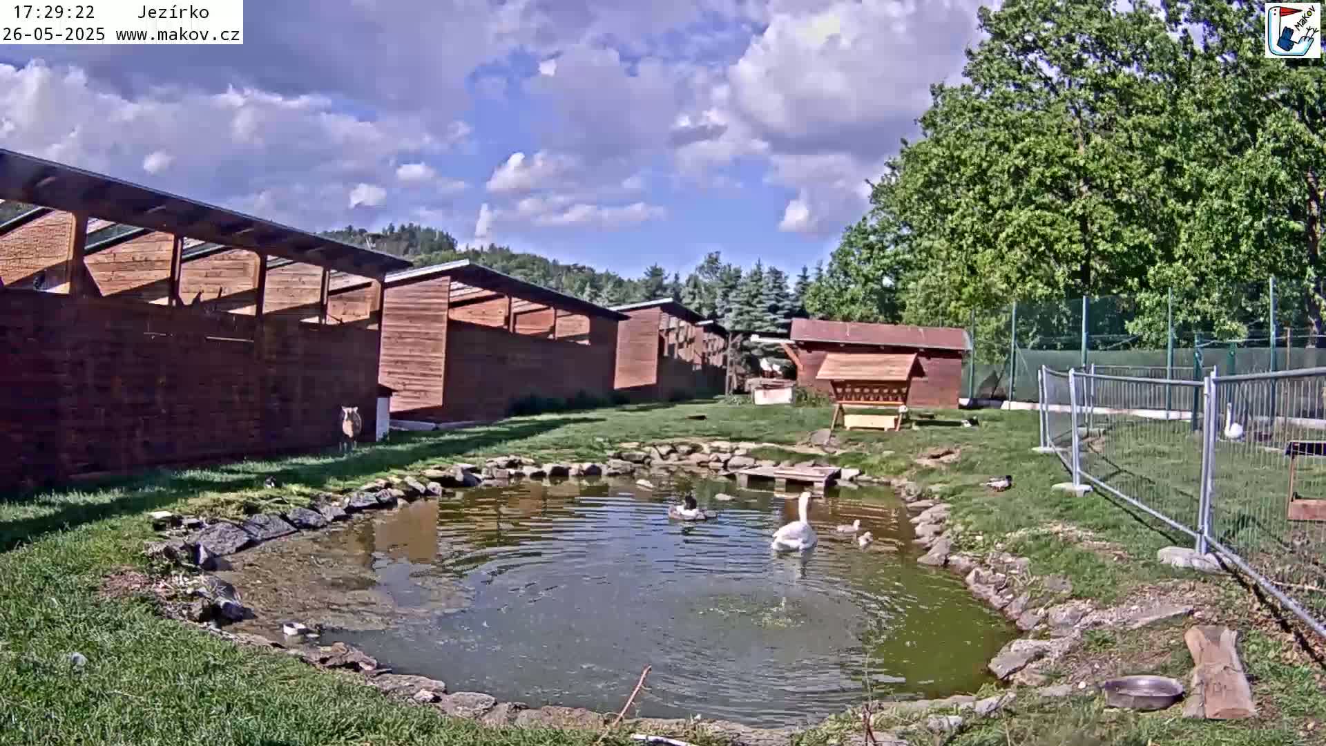 A small pond with a swan and ducks is surrounded by wooden buildings and green lawns under a partly cloudy sky.