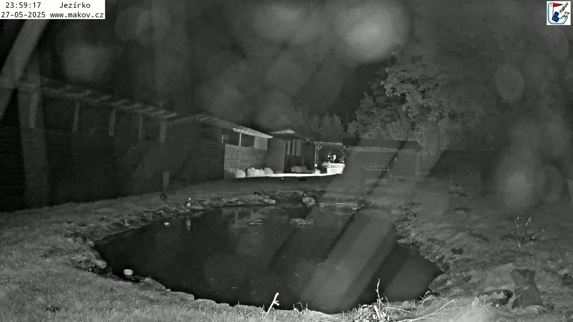 A nighttime, grainy black and white image shows a small pond next to a building with some trees in the background under a dark, possibly rainy sky.