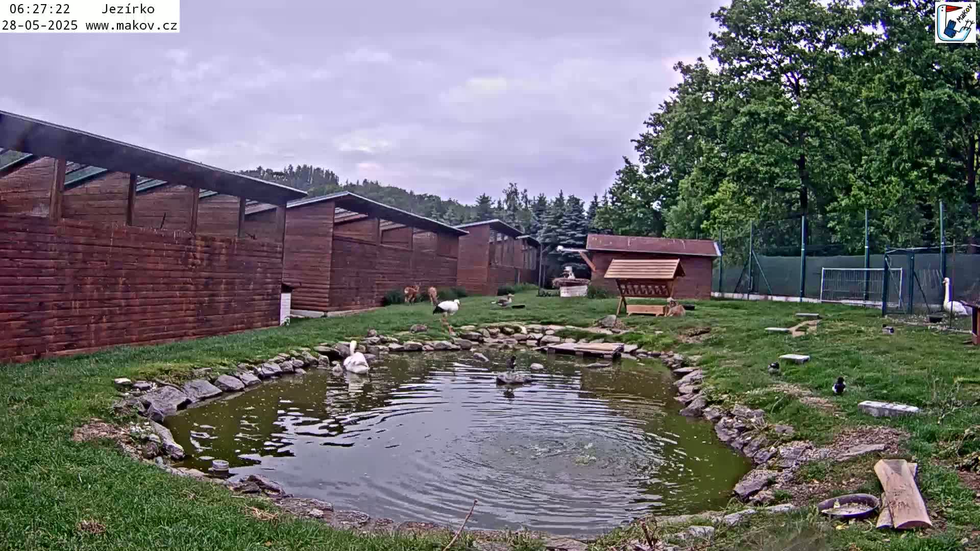 Pisek, Makov Animal Rescue Station Lake Live Cam - Cizova, Pisek, Juhočeský Kraj (South Bohemian), Czechia