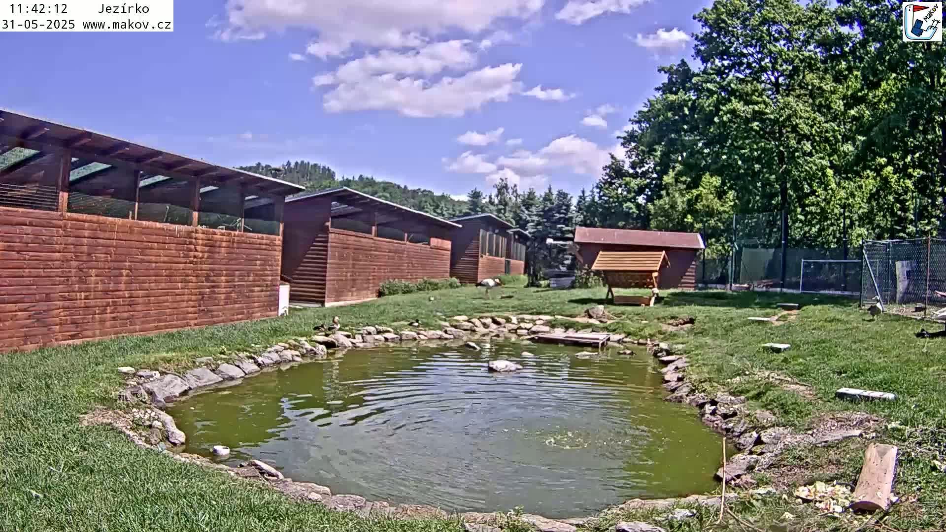 A small pond with birds is surrounded by several wooden animal enclosures and lush green grass under a partly cloudy blue sky.