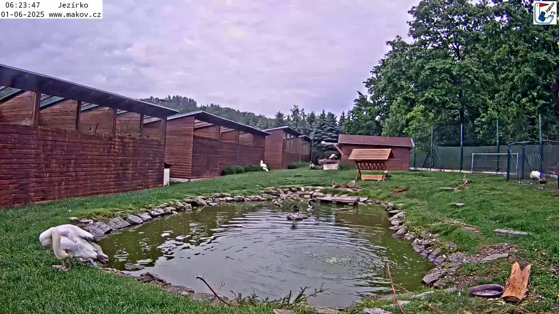 Pisek, Makov Animal Rescue Station Lake Live Cam - Cizova, Pisek, Juhočeský Kraj (South Bohemian), Czechia