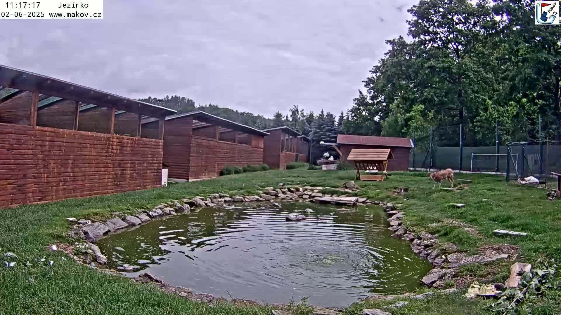 A small pond with a few ducks sits in front of several wooden buildings under a cloudy sky.