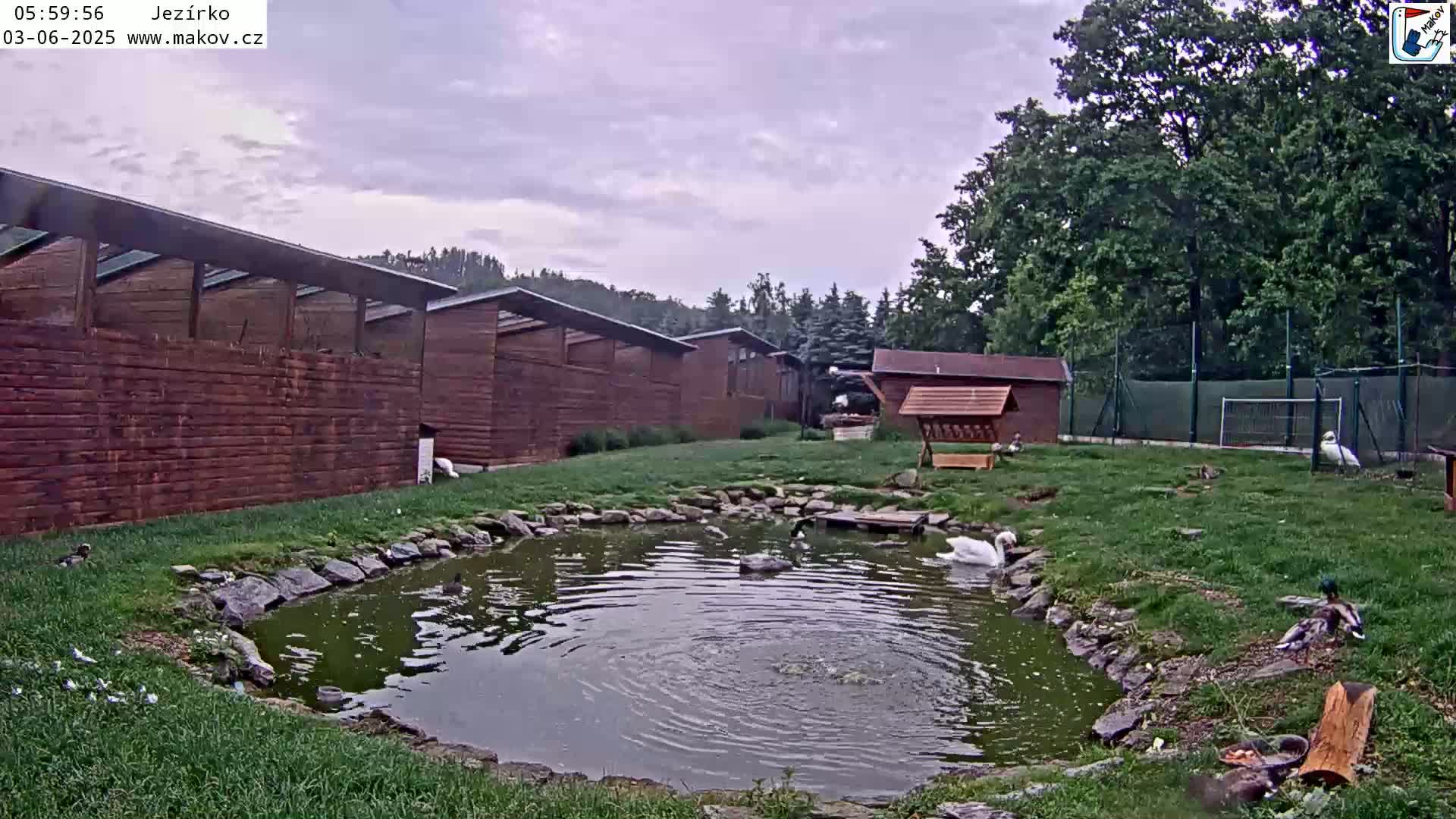 Pisek, Makov Animal Rescue Station Lake Live Cam - Cizova, Pisek, Juhočeský Kraj (South Bohemian), Czechia