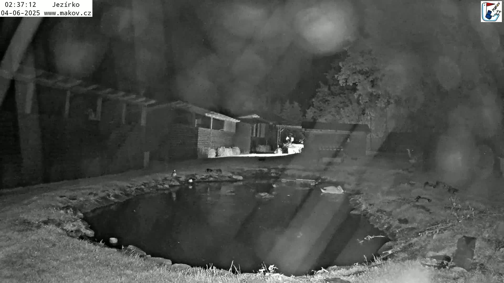 Pisek, Makov Animal Rescue Station Lake Live Cam - Cizova, Pisek, Juhočeský Kraj (South Bohemian), Czechia