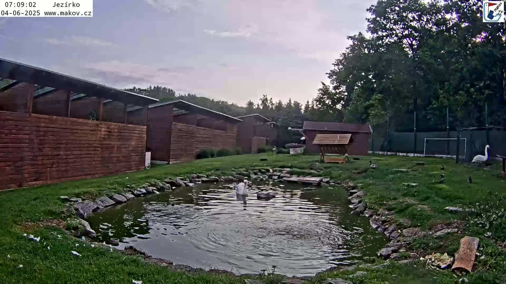 Pisek, Makov Animal Rescue Station Lake Live Cam - Cizova, Pisek, Juhočeský Kraj (South Bohemian), Czechia