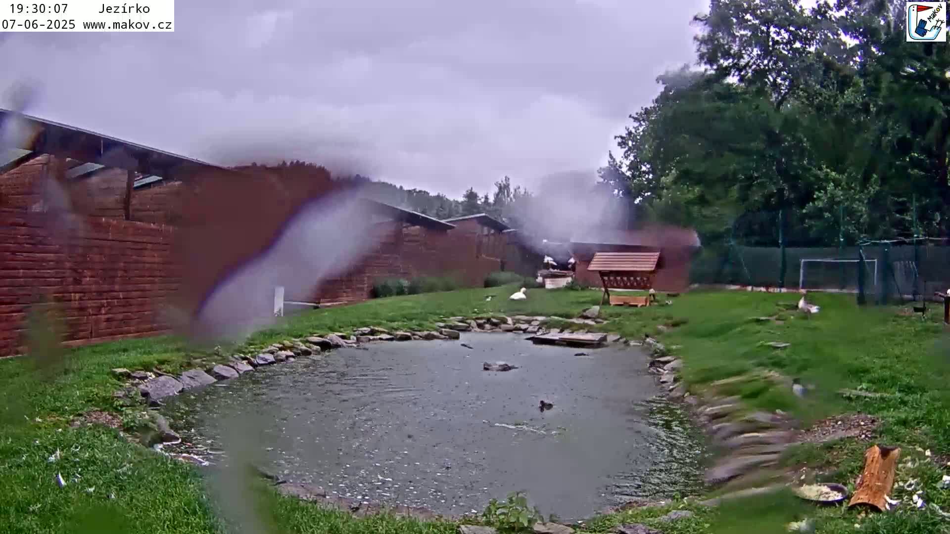 A small pond with birds near a brick building and trees during a rainstorm.
