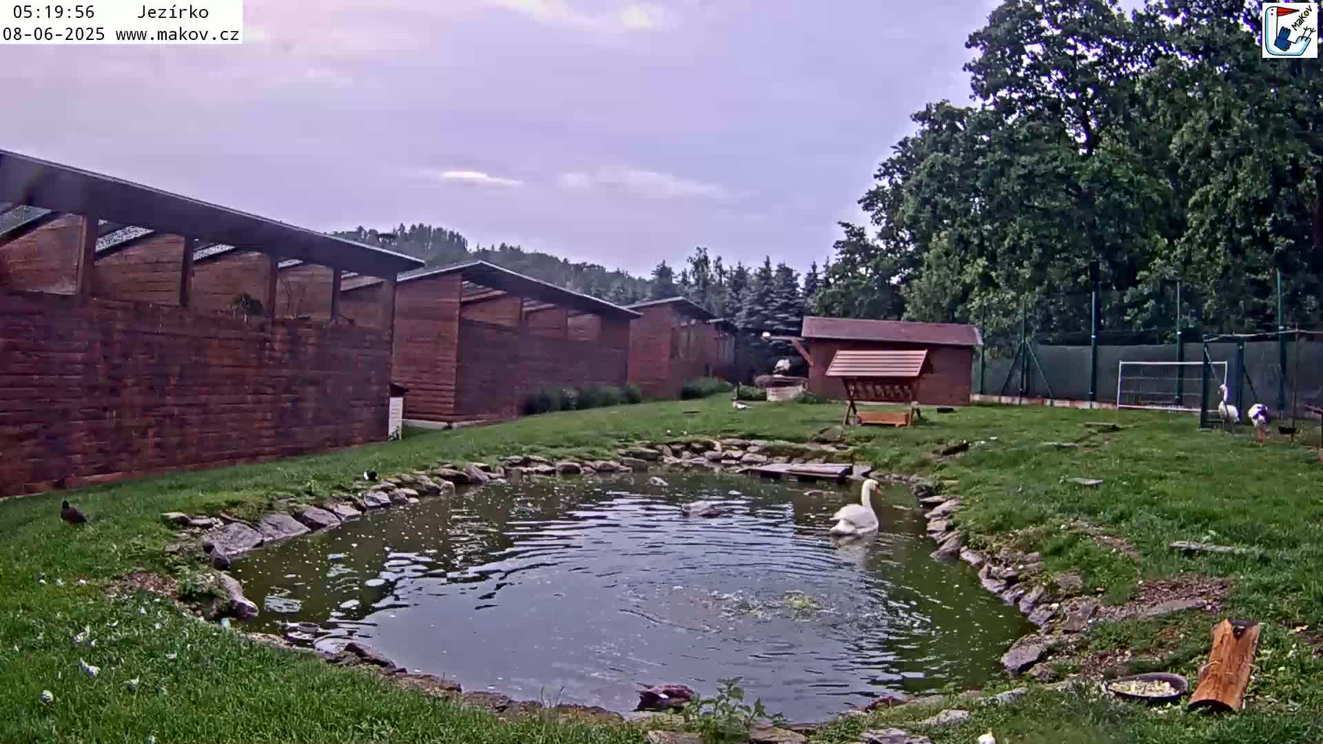 Pisek, Makov Animal Rescue Station Lake Live Cam - Cizova, Pisek, Juhočeský Kraj (South Bohemian), Czechia