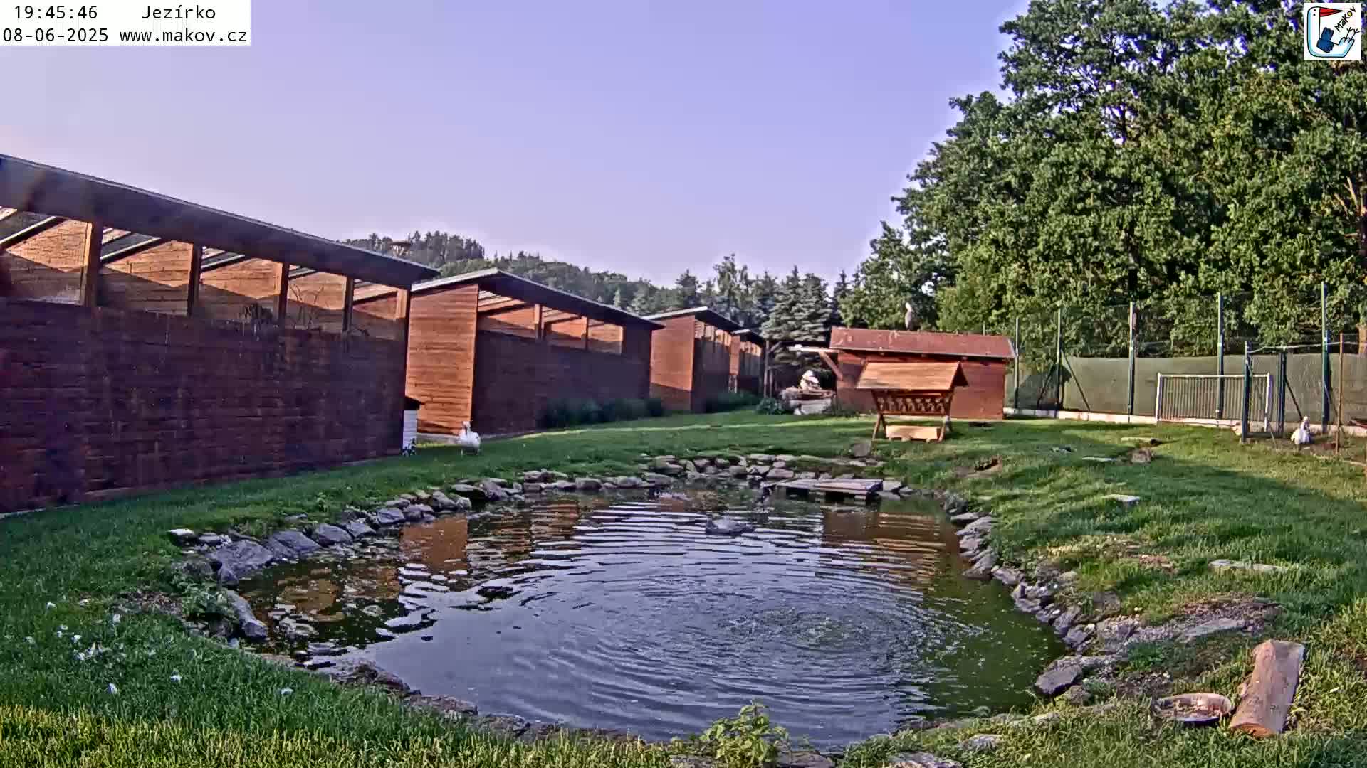 Under a clear sky, a small pond sits in a grassy area next to several wooden animal shelters and a bird feeder.