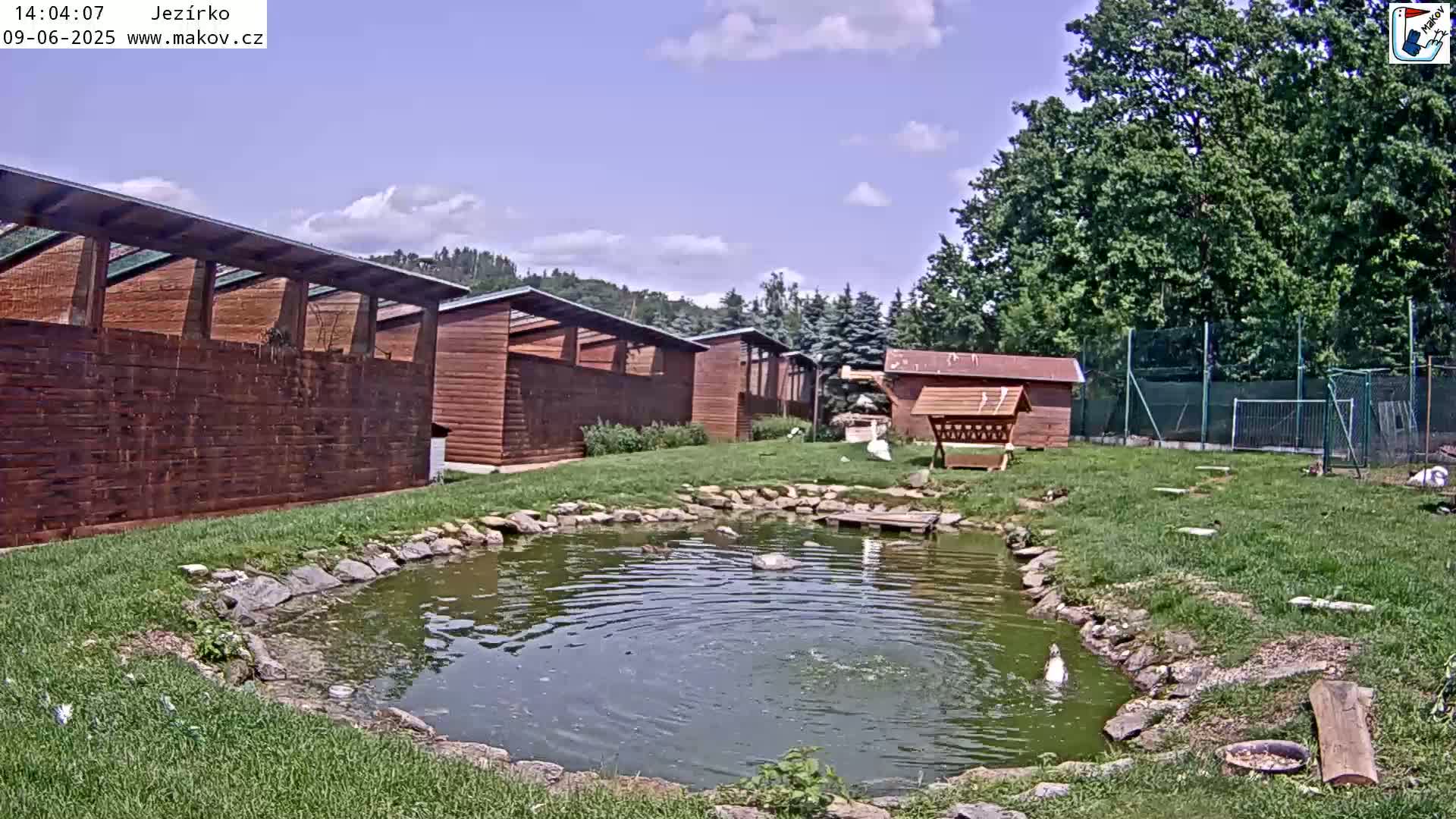 A small pond with several birds in it sits in a grassy area next to several wooden buildings under a partly cloudy sky.