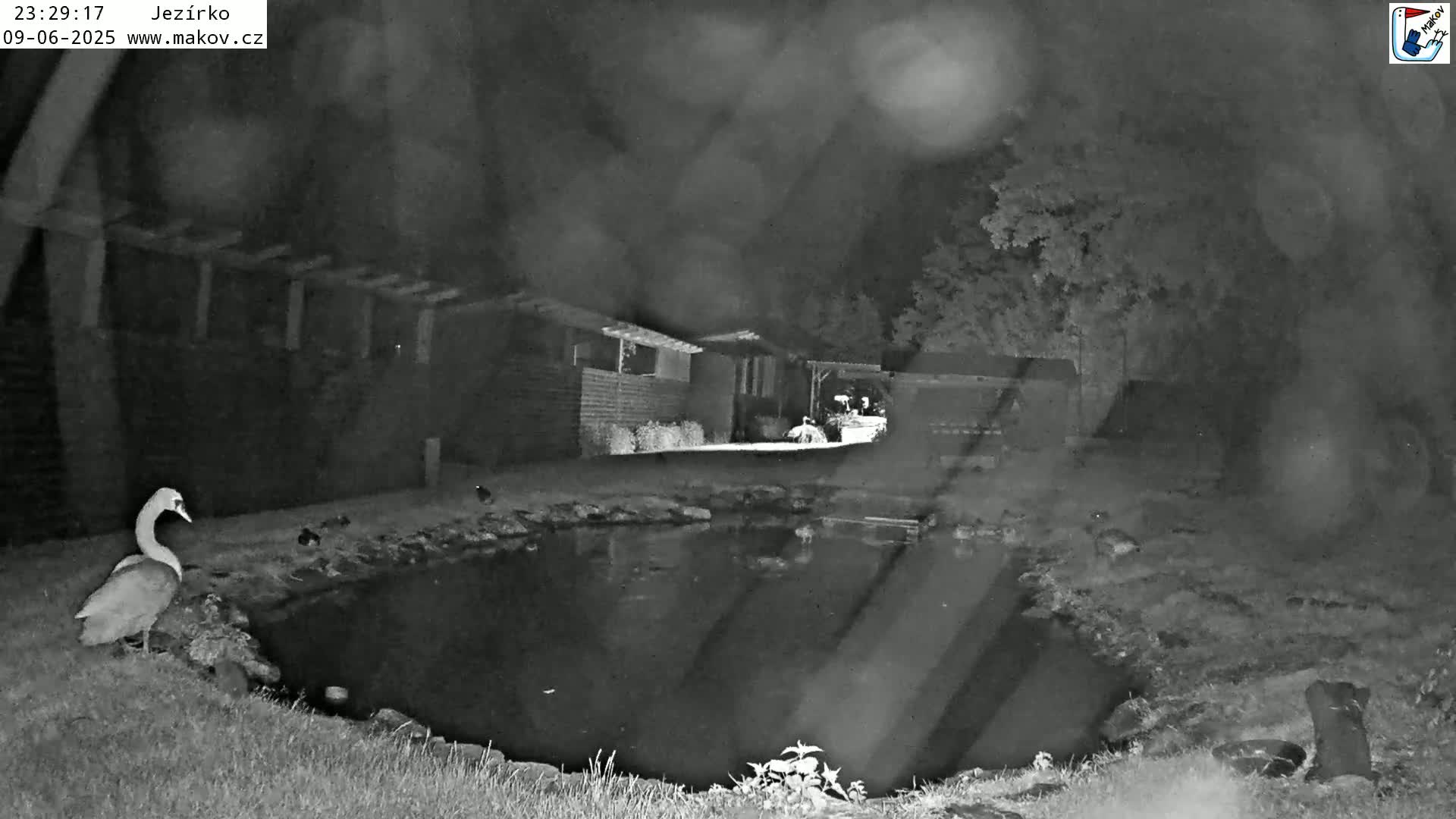Pisek, Makov Animal Rescue Station Lake Live Cam - Cizova, Pisek, Juhočeský Kraj (South Bohemian), Czechia