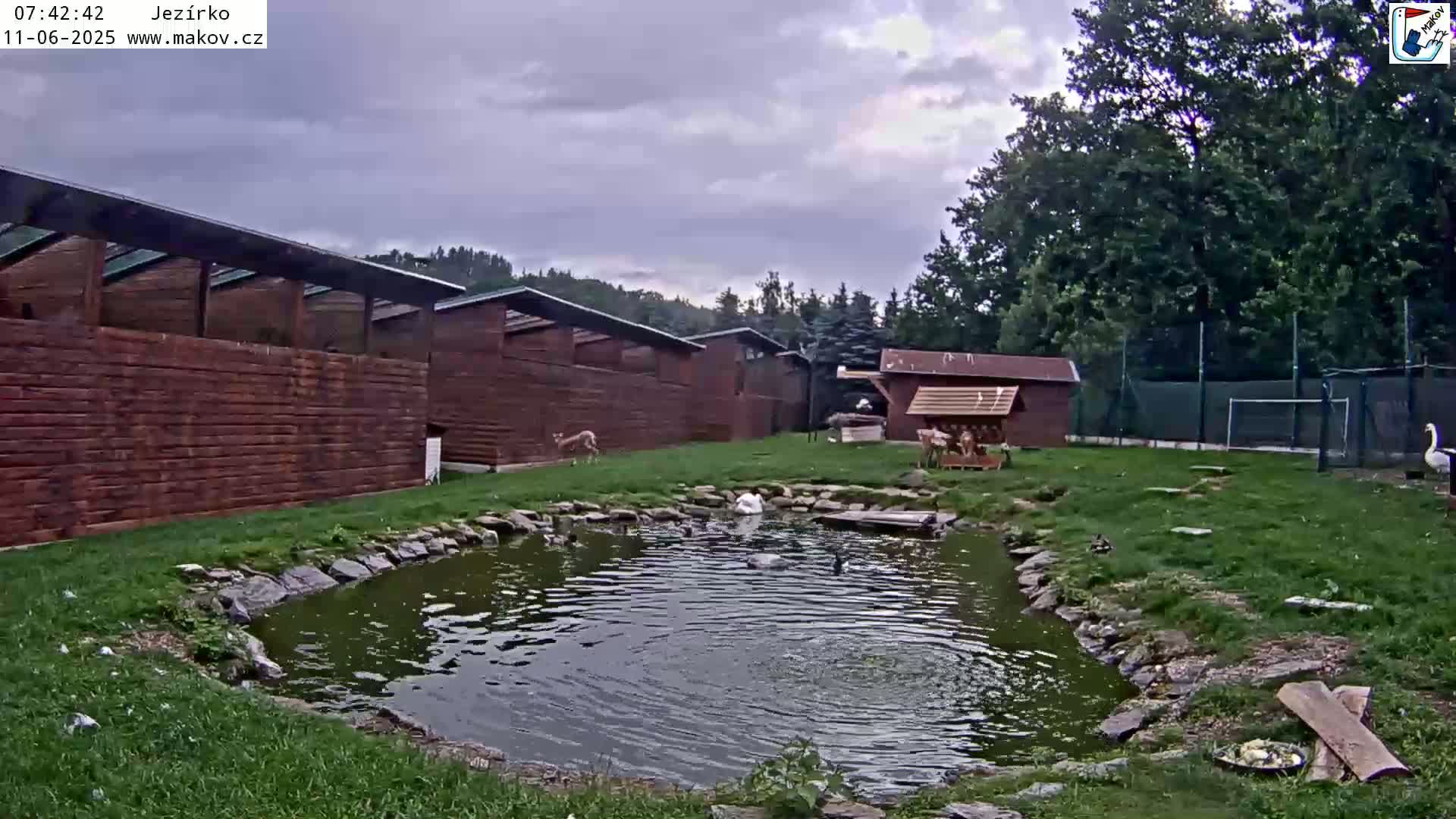Pisek, Makov Animal Rescue Station Lake Live Cam - Cizova, Pisek, Juhočeský Kraj (South Bohemian), Czechia
