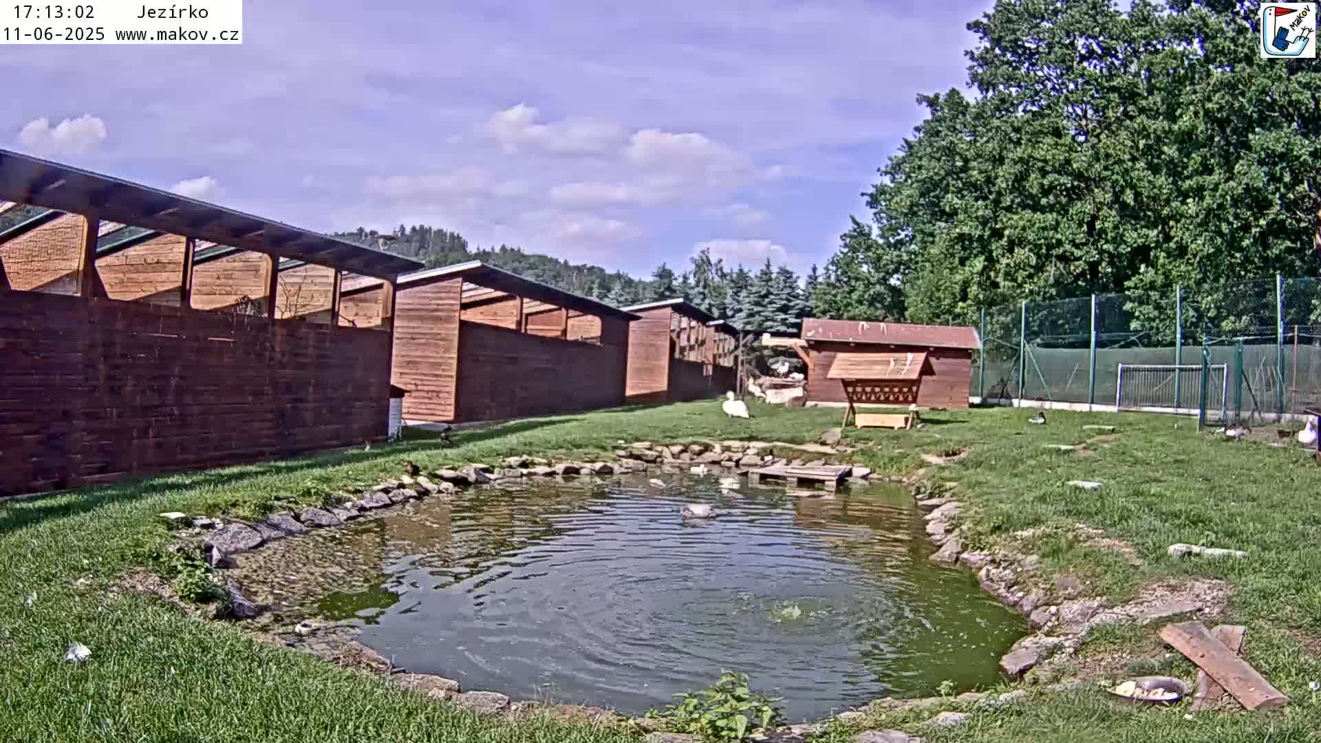 A small pond with several birds in and around it sits in front of a row of wooden structures under a partly cloudy blue sky.