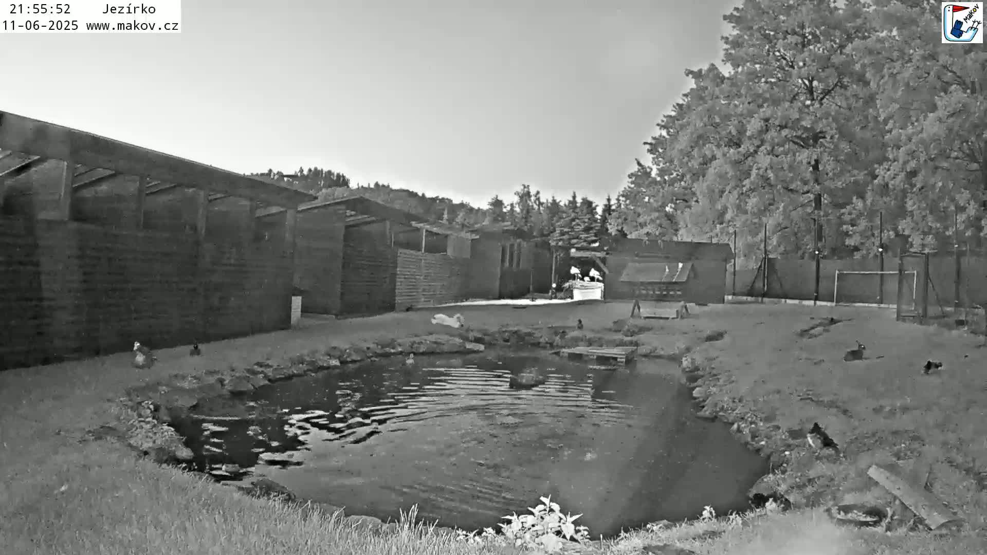 Pisek, Makov Animal Rescue Station Lake Live Cam - Cizova, Pisek, Juhočeský Kraj (South Bohemian), Czechia