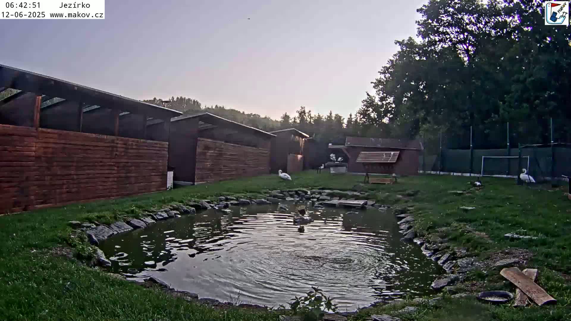 Pisek, Makov Animal Rescue Station Lake Live Cam - Cizova, Pisek, Juhočeský Kraj (South Bohemian), Czechia