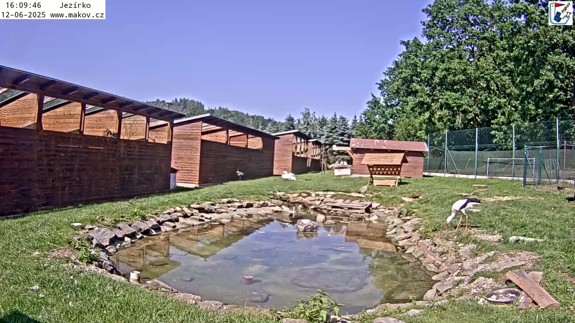 A white stork stands near a small pond surrounded by brown wooden structures and green grass under a clear blue sky.