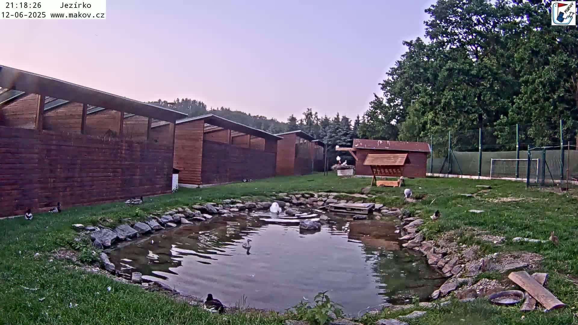 Pisek, Makov Animal Rescue Station Lake Live Cam - Cizova, Pisek, Juhočeský Kraj (South Bohemian), Czechia