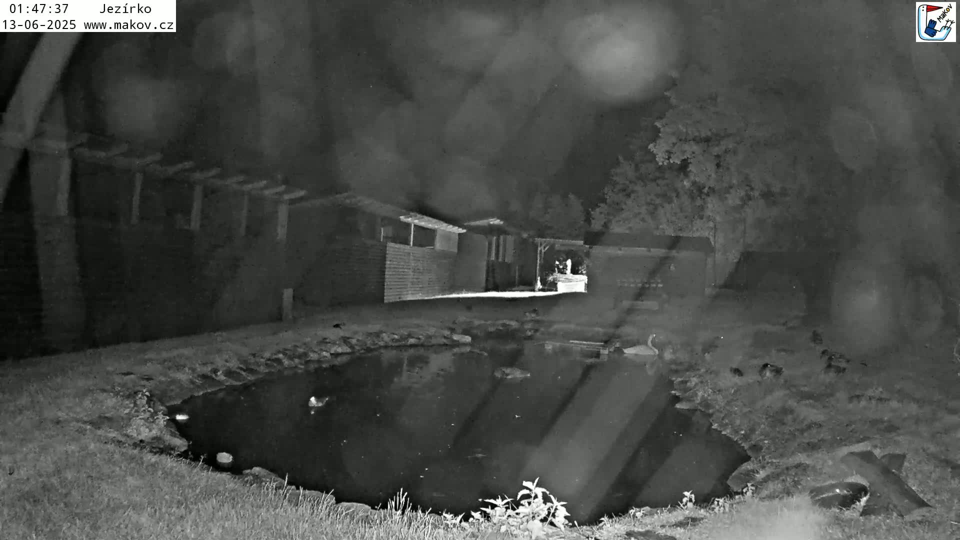 Pisek, Makov Animal Rescue Station Lake Live Cam - Cizova, Pisek, Juhočeský Kraj (South Bohemian), Czechia