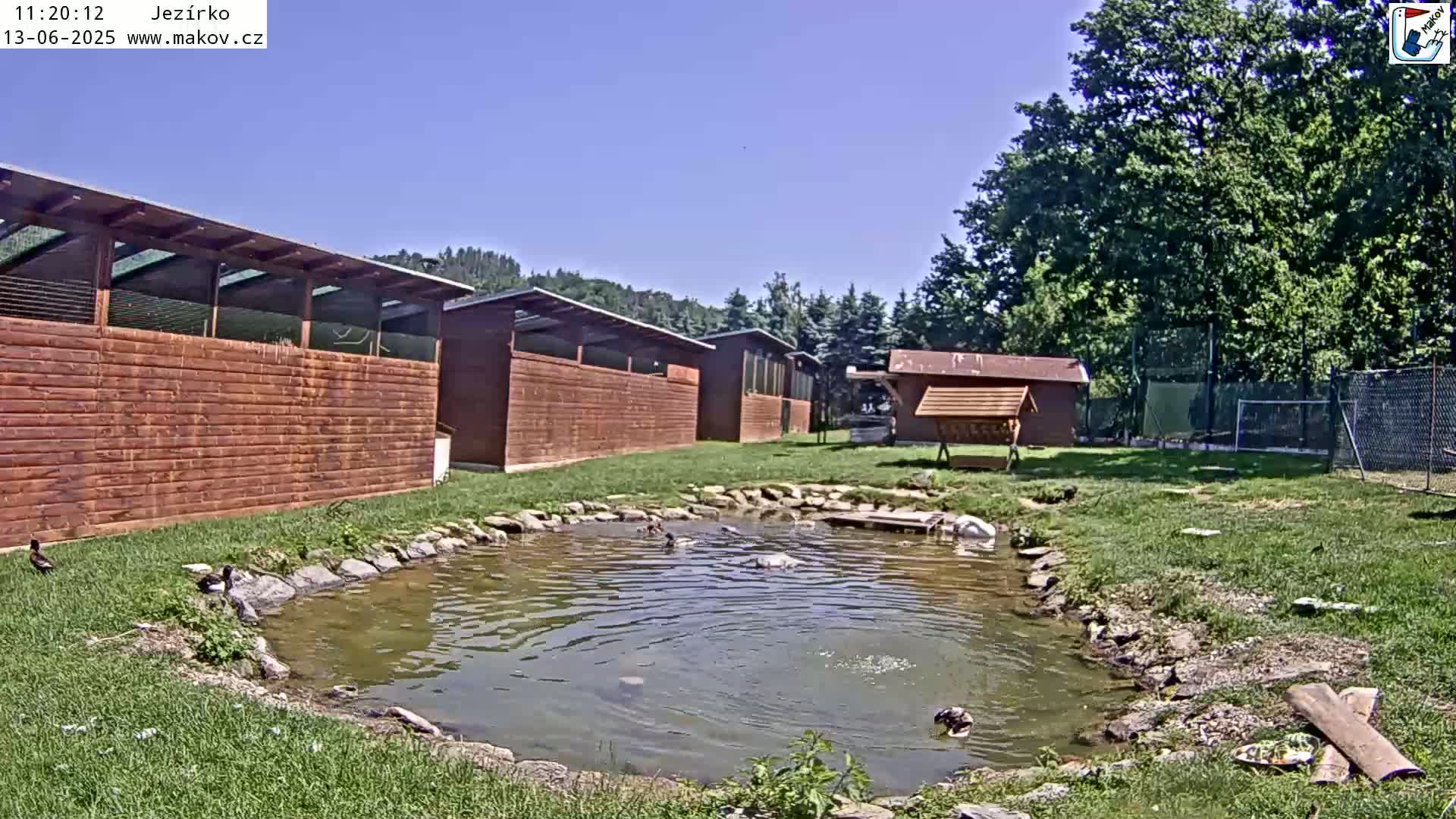 A small pond with several birds swimming in it sits in front of a row of brown wooden structures under a clear blue sky.