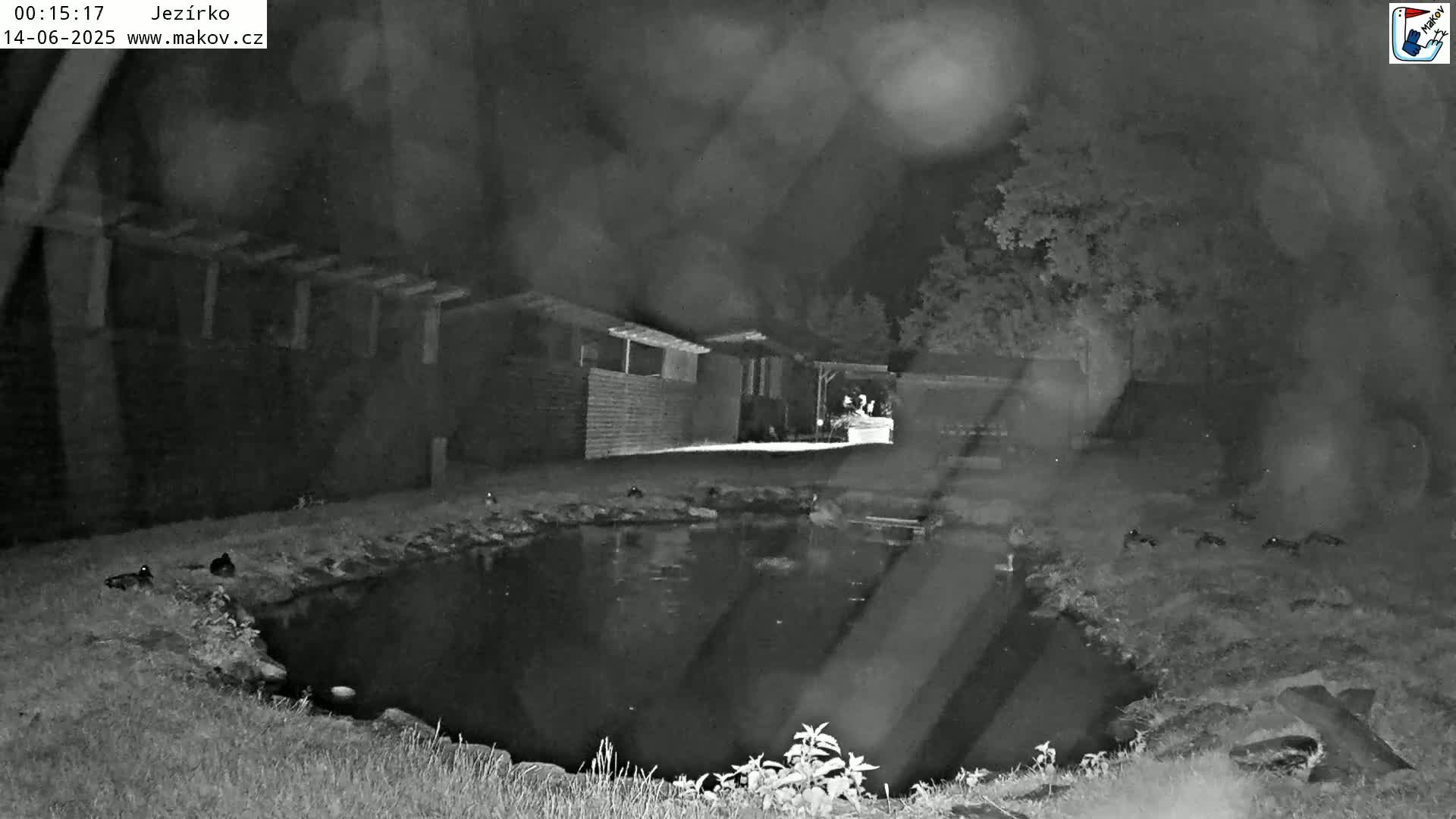 Pisek, Makov Animal Rescue Station Lake Live Cam - Cizova, Pisek, Juhočeský Kraj (South Bohemian), Czechia
