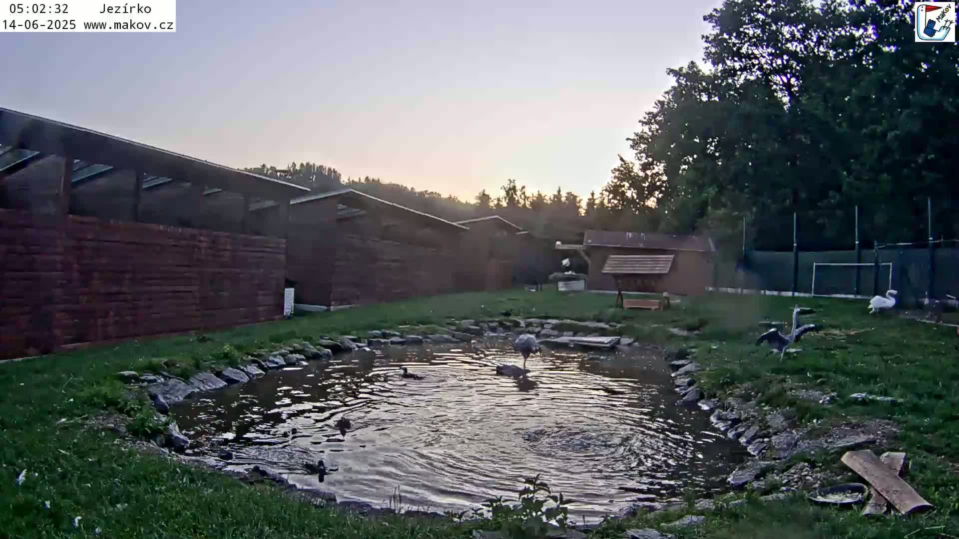 Pisek, Makov Animal Rescue Station Lake Live Cam - Cizova, Pisek, Juhočeský Kraj (South Bohemian), Czechia