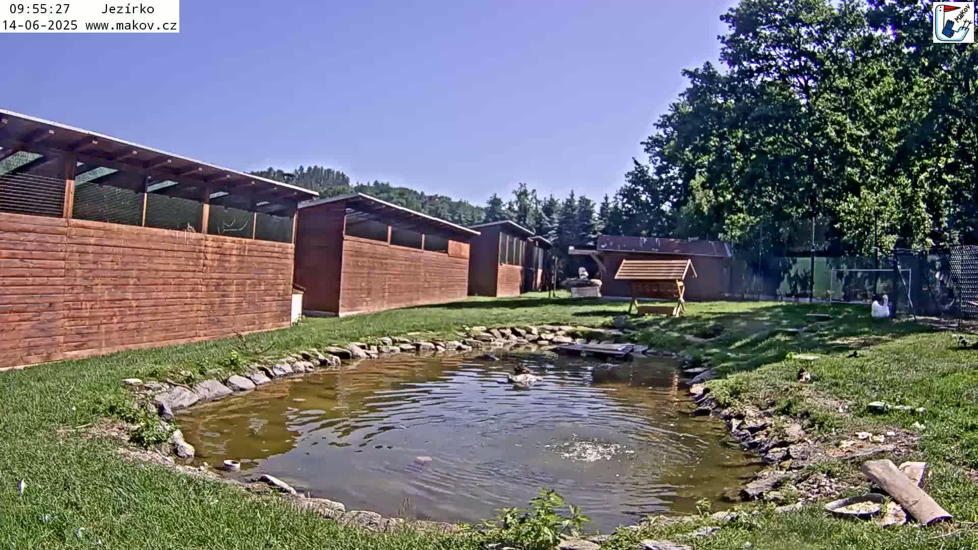 A small pond sits in a grassy area beside several wooden animal enclosures under a clear blue sky.