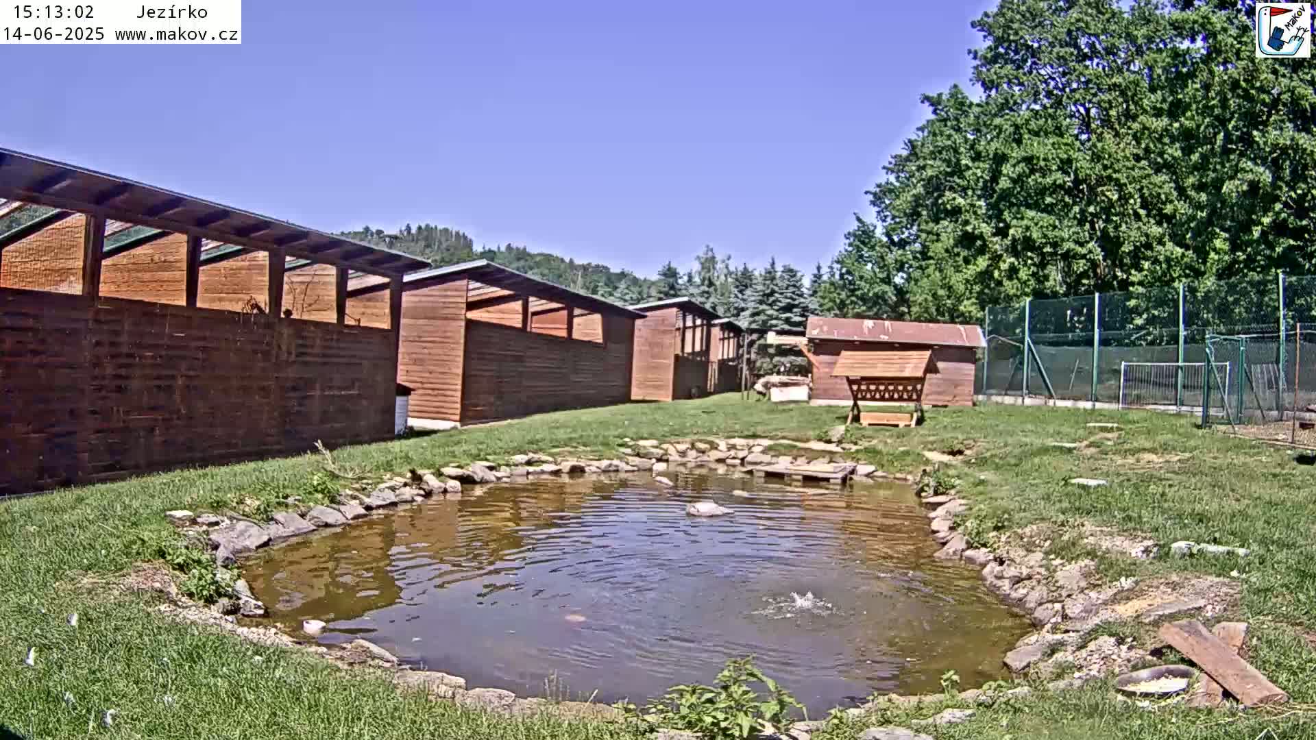 A small pond sits in a grassy area next to several wooden structures under a clear blue sky.