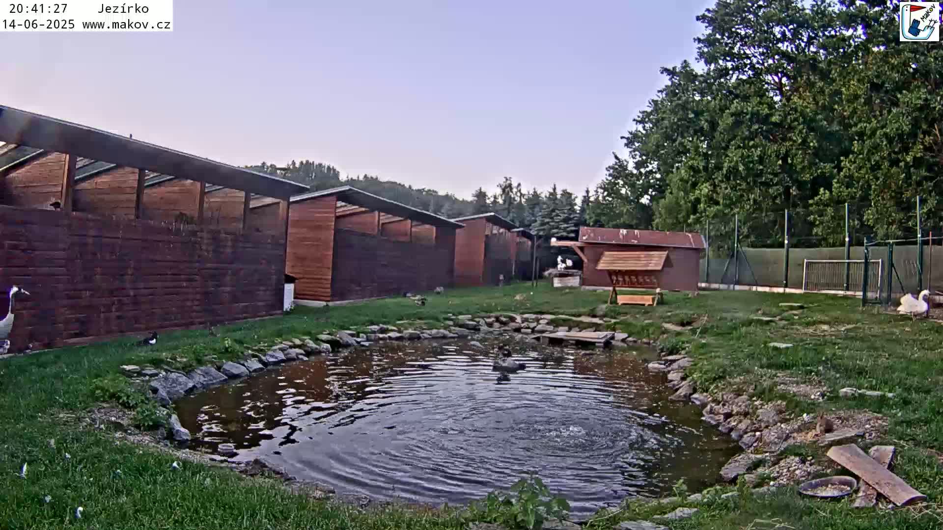 A small pond sits in a grassy area next to several wooden structures under a clear blue sky.