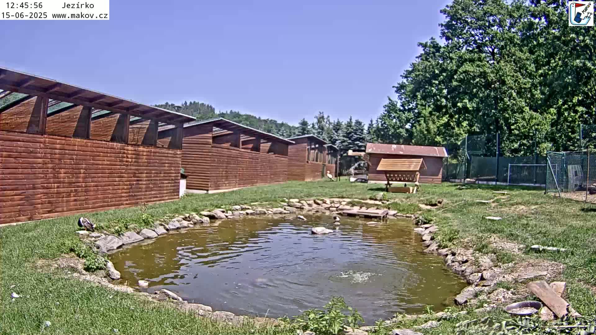 A small pond with ducks sits in front of a row of wooden buildings under a clear blue sky.
